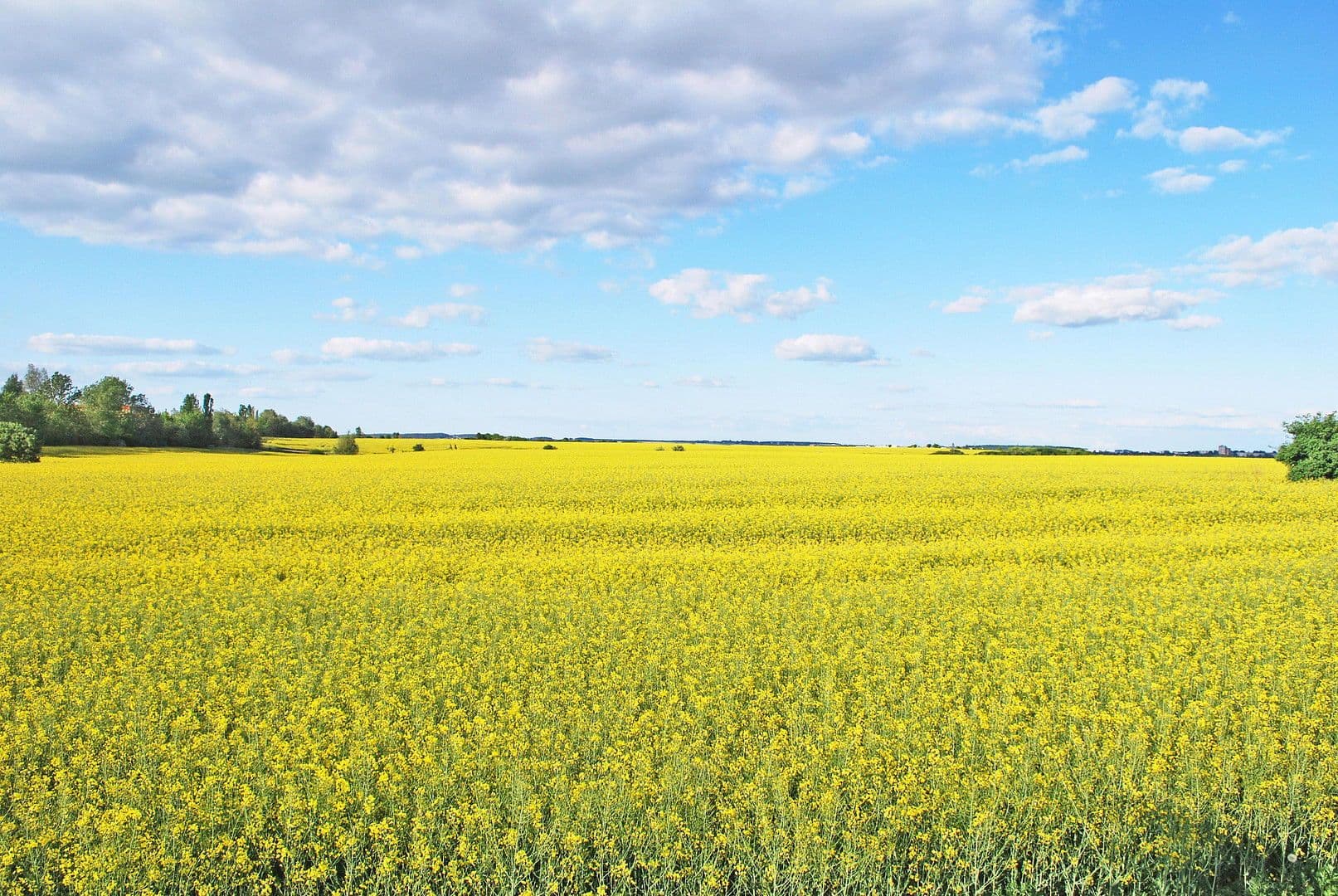 Predaj domu 91 m², pozemek 1.000 m², Zur Lenzer Höh 6, Haus 13, Fünfseen, Meklenbursko-Predpomoransko Predaj domu 91 m², pozemek 1.000 m², Zur Lenzer Höh 6, Haus 13, Fünfseen, Meklenbursko-Predpomoransko