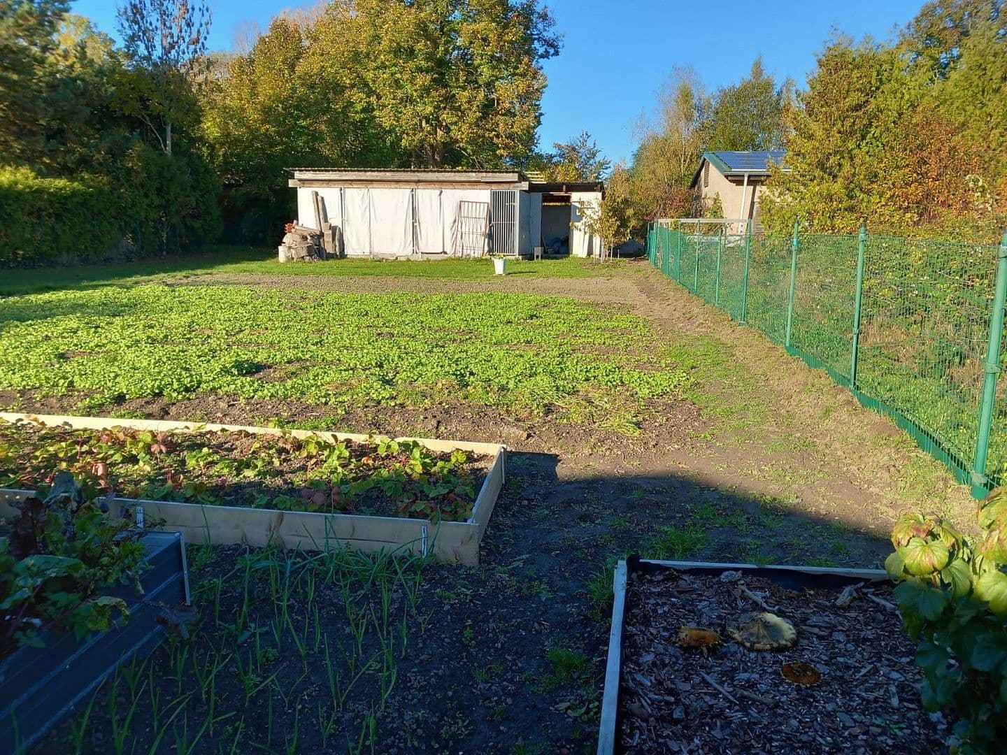 Predaj domu 100 m², pozemek 1.100 m², Grimmen, Meklenbursko-Predpomoransko Predaj domu 100 m², pozemek 1.100 m², Grimmen, Meklenbursko-Predpomoransko