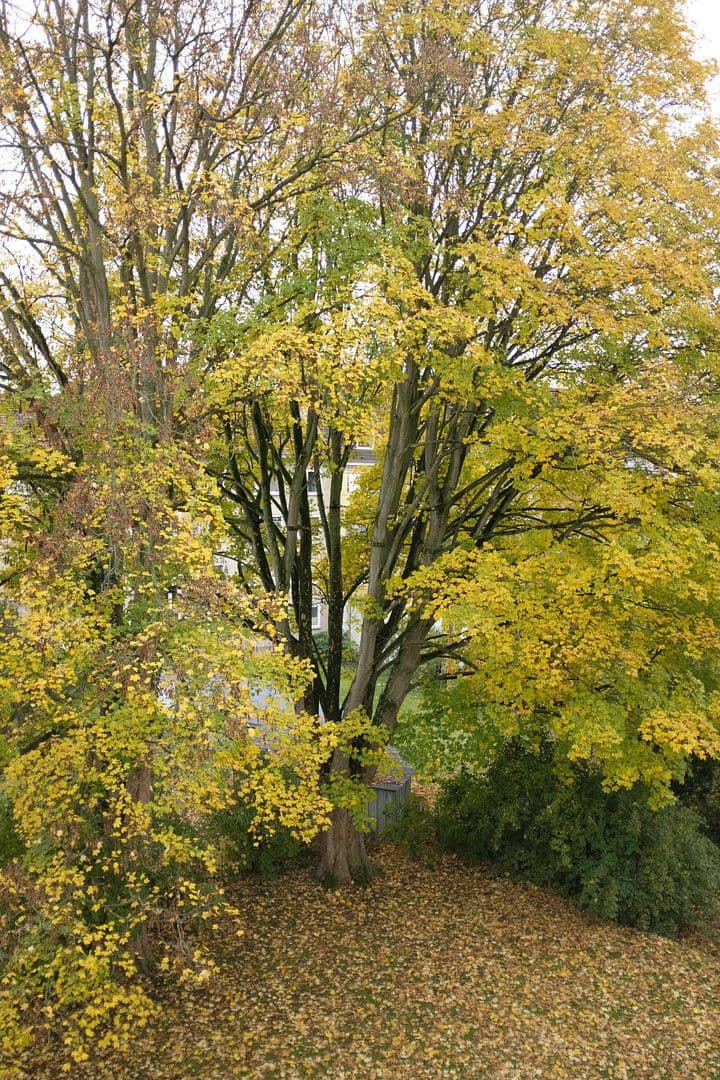 Predaj bytu 3-izbový 71 m², Herkulesstraße, Kassel, Hesensko Predaj bytu 3-izbový 71 m², Herkulesstraße, Kassel, Hesensko