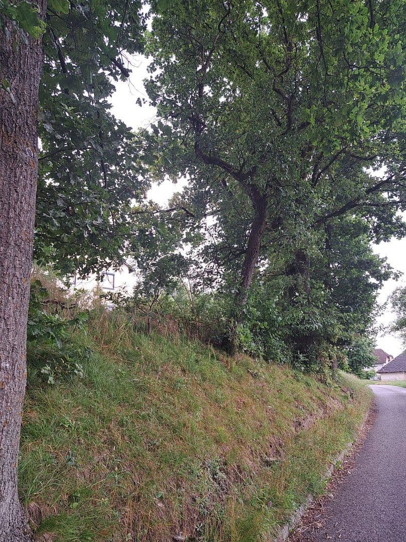 Predaj pozemku 992 m², Leitnerweg, Leharweg, Walding, Horné Rakúsko Predaj pozemku 992 m², Leitnerweg, Leharweg, Walding, Horné Rakúsko