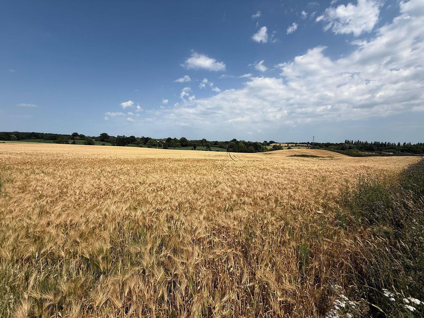 Predaj domu 141 m², pozemek 270 m², Ascheberg, Šlezvicko-Holštajnsko Predaj domu 141 m², pozemek 270 m², Ascheberg, Šlezvicko-Holštajnsko