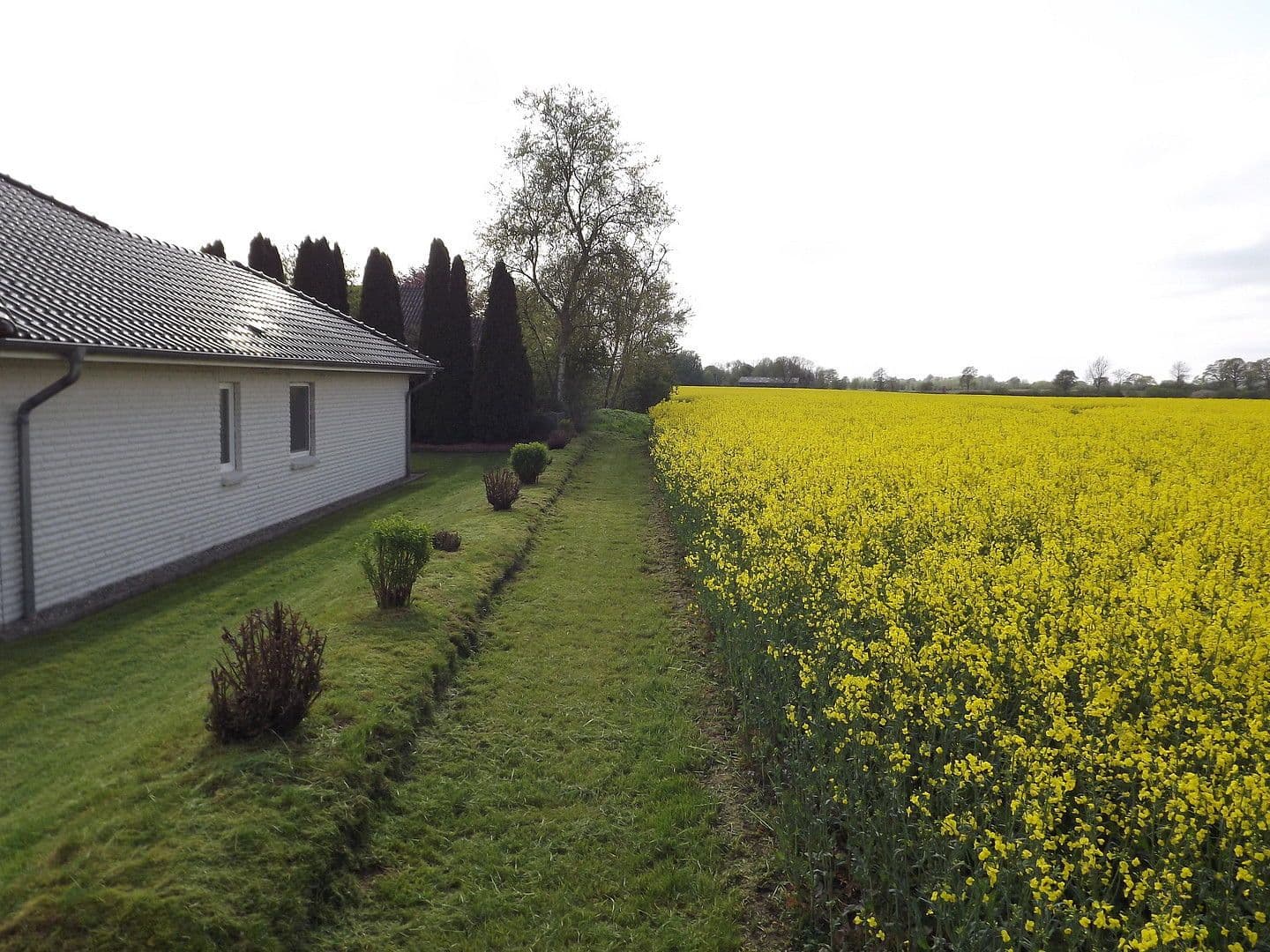 Predaj domu 150 m², pozemek 1.395 m², Nieby 3.a, Böel, Šlezvicko-Holštajnsko Predaj domu 150 m², pozemek 1.395 m², Nieby 3.a, Böel, Šlezvicko-Holštajnsko