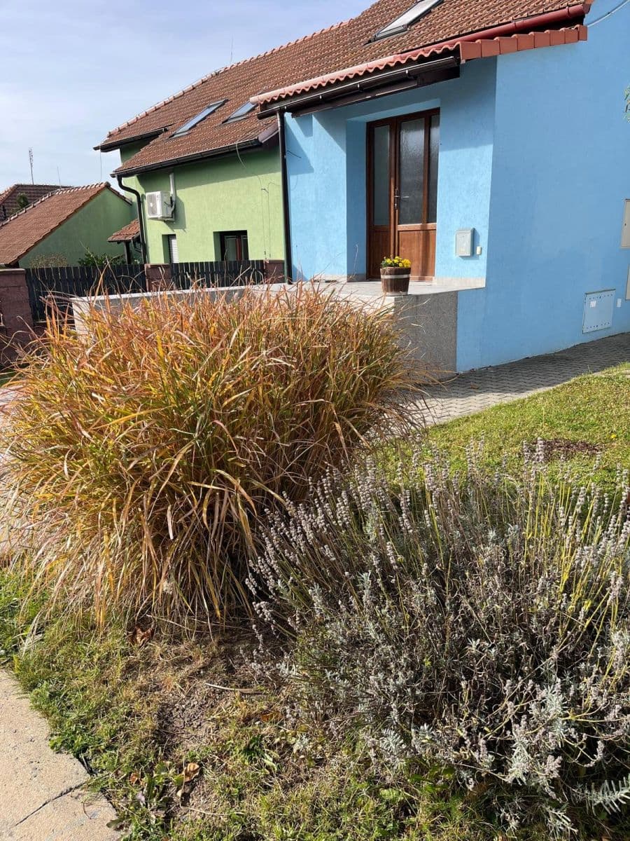 Prenájom bytu 70 m², Újezd II., Kobeřice u Brna, Jihomoravský kraj Prenájom bytu 70 m², Újezd II., Kobeřice u Brna, Jihomoravský kraj