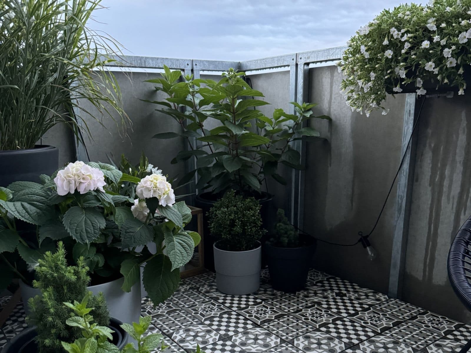 Predaj bytu 2-izbový 53 m², Žižkova, Horoměřice, Středočeský kraj Predaj bytu 2-izbový 53 m², Žižkova, Horoměřice, Středočeský kraj