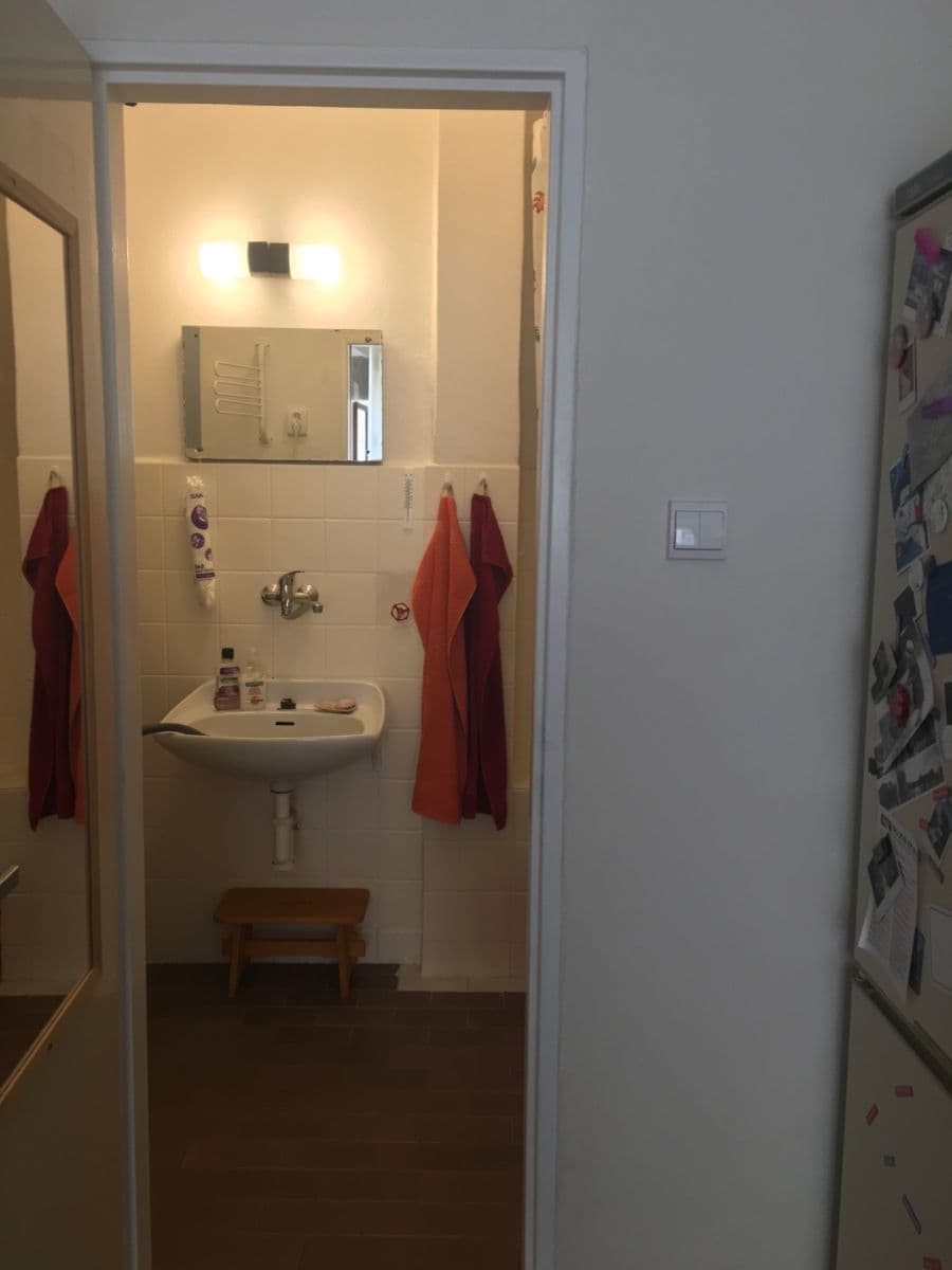 Prenájom bytu 1-izbový 42 m², Jugoslávských partyzánů, Praha, Praha Prenájom bytu 1-izbový 42 m², Jugoslávských partyzánů, Praha, Praha