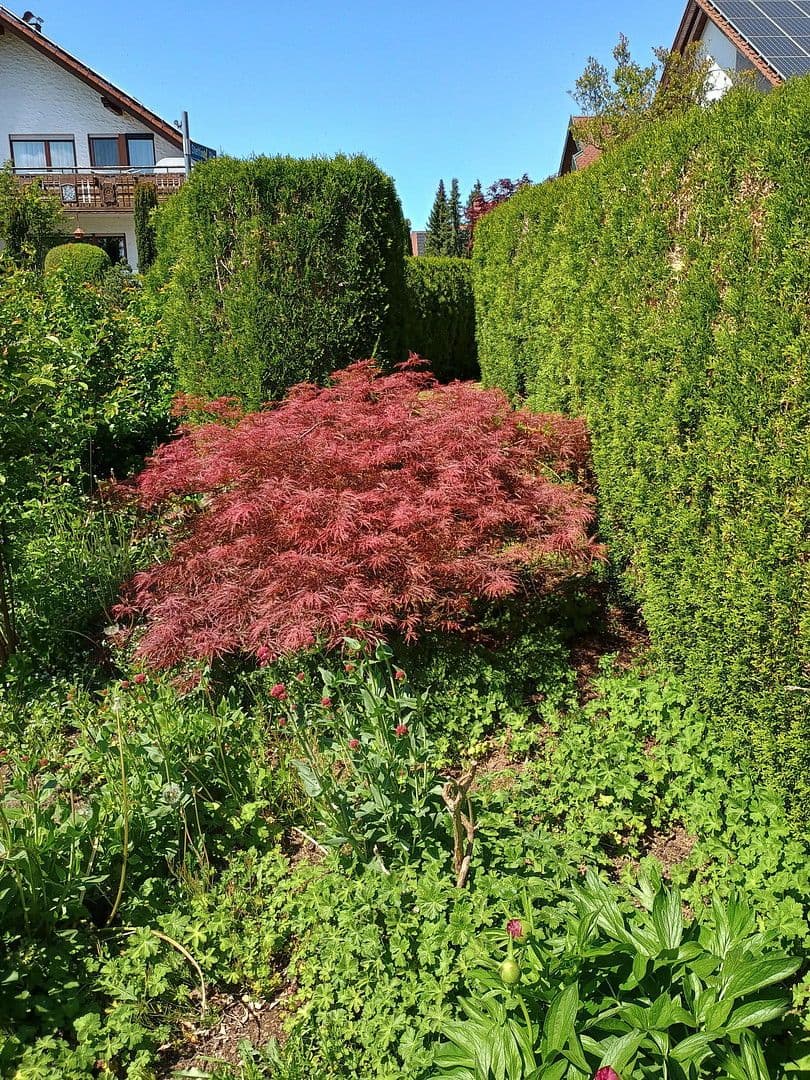 Predaj domu 255 m², pozemek 894 m², Hüttlingen, Bádensko-Wurttembersko Predaj domu 255 m², pozemek 894 m², Hüttlingen, Bádensko-Wurttembersko