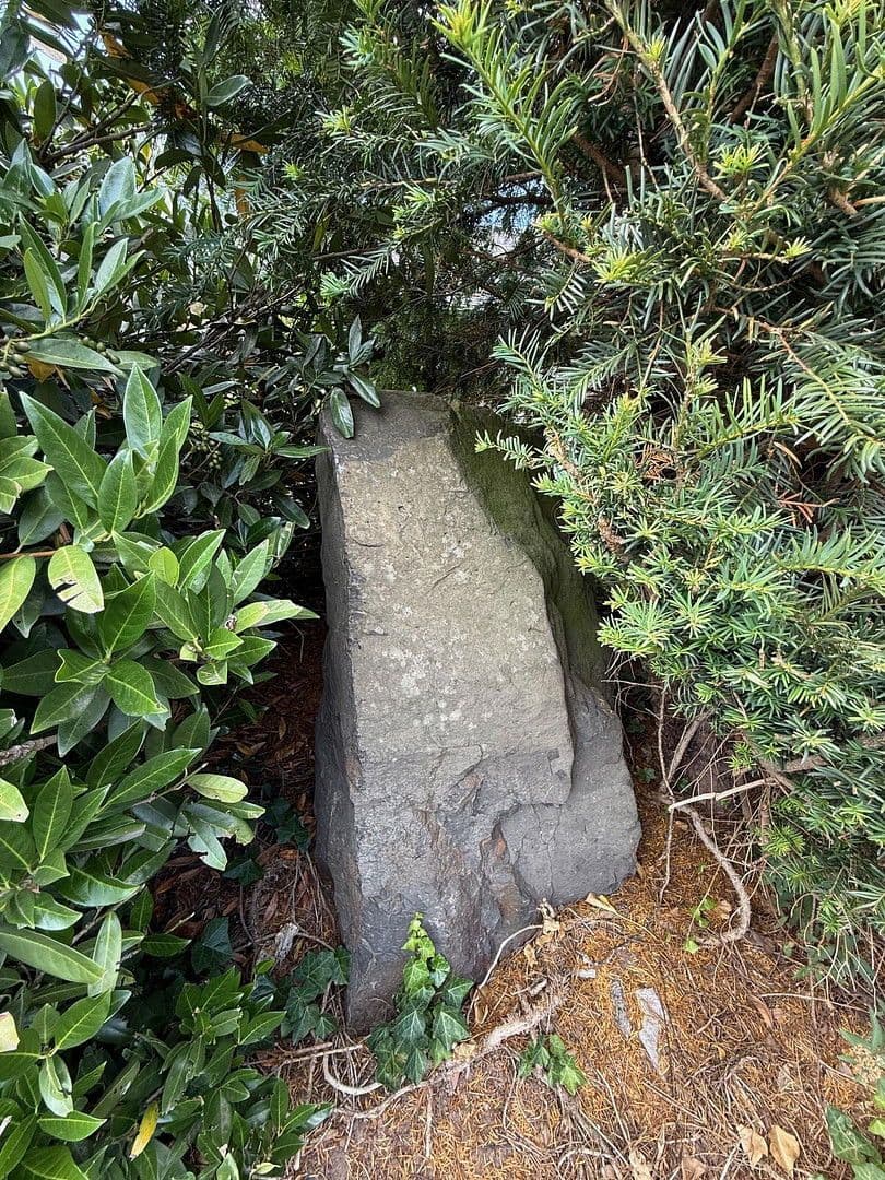 Predaj domu 478 m², pozemek 1.827 m², Neuhof, Hesensko Predaj domu 478 m², pozemek 1.827 m², Neuhof, Hesensko