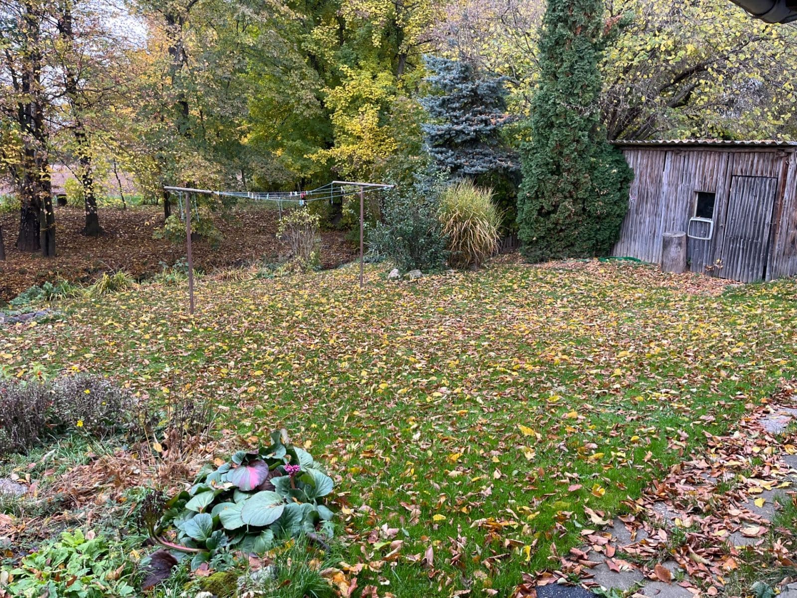 Prenájom domu 75 m², pozemek 400 m², Moravičany, Olomoucký kraj Prenájom domu 75 m², pozemek 400 m², Moravičany, Olomoucký kraj