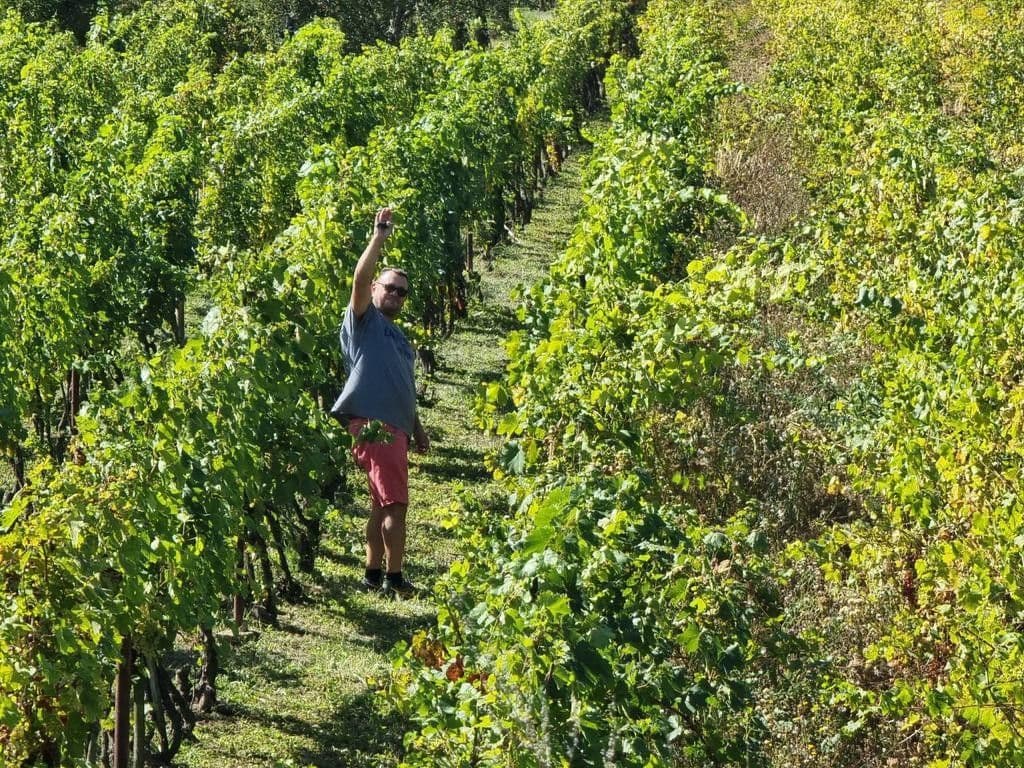 Predaj rekreačného objektu 2.500 m², pozemek 2.500 m², Nána, Nitriansky kraj Predaj rekreačného objektu 2.500 m², pozemek 2.500 m², Nána, Nitriansky kraj