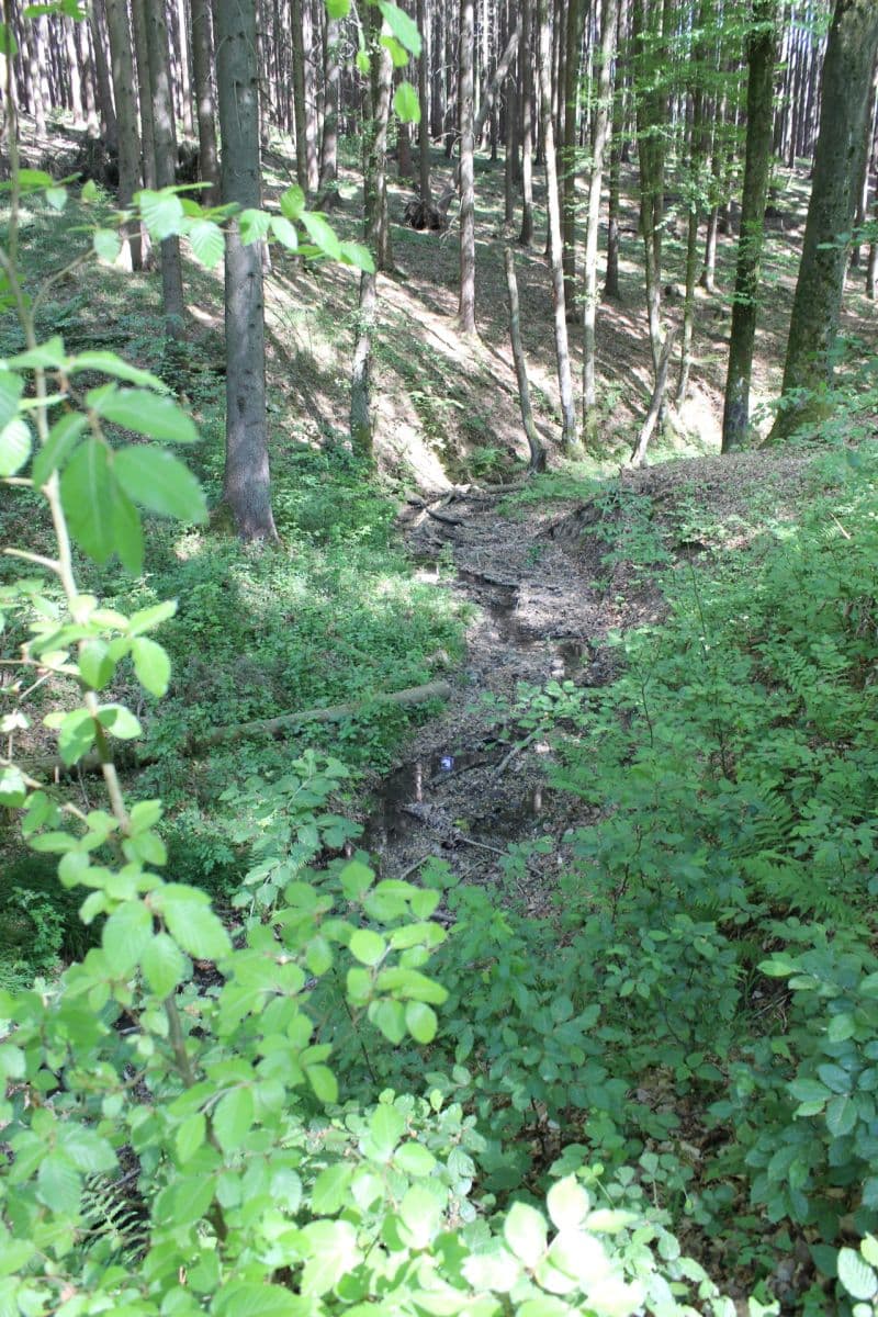 Predaj pozemku 32.570 m², Bojkovice, Zlínský kraj Predaj pozemku 32.570 m², Bojkovice, Zlínský kraj