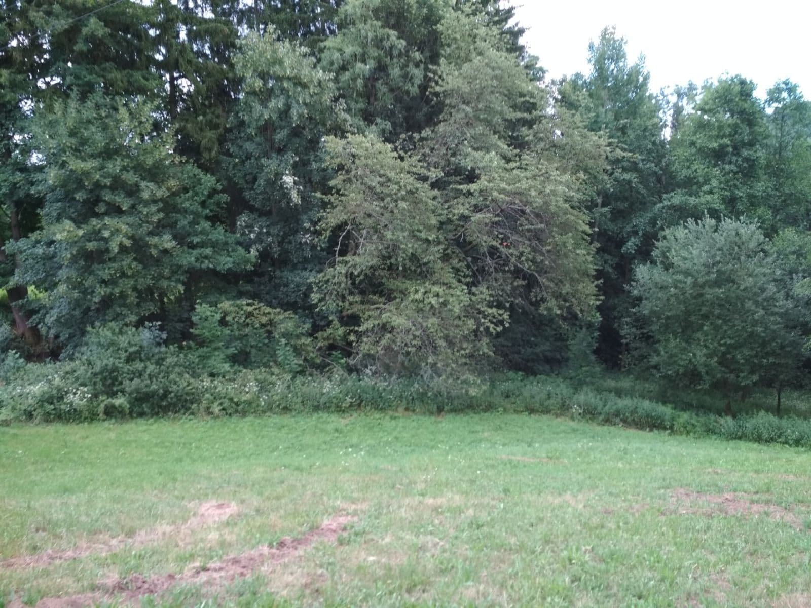 Predaj pozemku 4.183 m², Benešov u Semil, Liberecký kraj Predaj pozemku 4.183 m², Benešov u Semil, Liberecký kraj