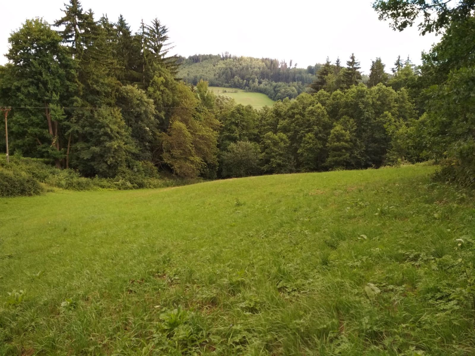 Predaj pozemku 4.183 m², Benešov u Semil, Liberecký kraj Predaj pozemku 4.183 m², Benešov u Semil, Liberecký kraj