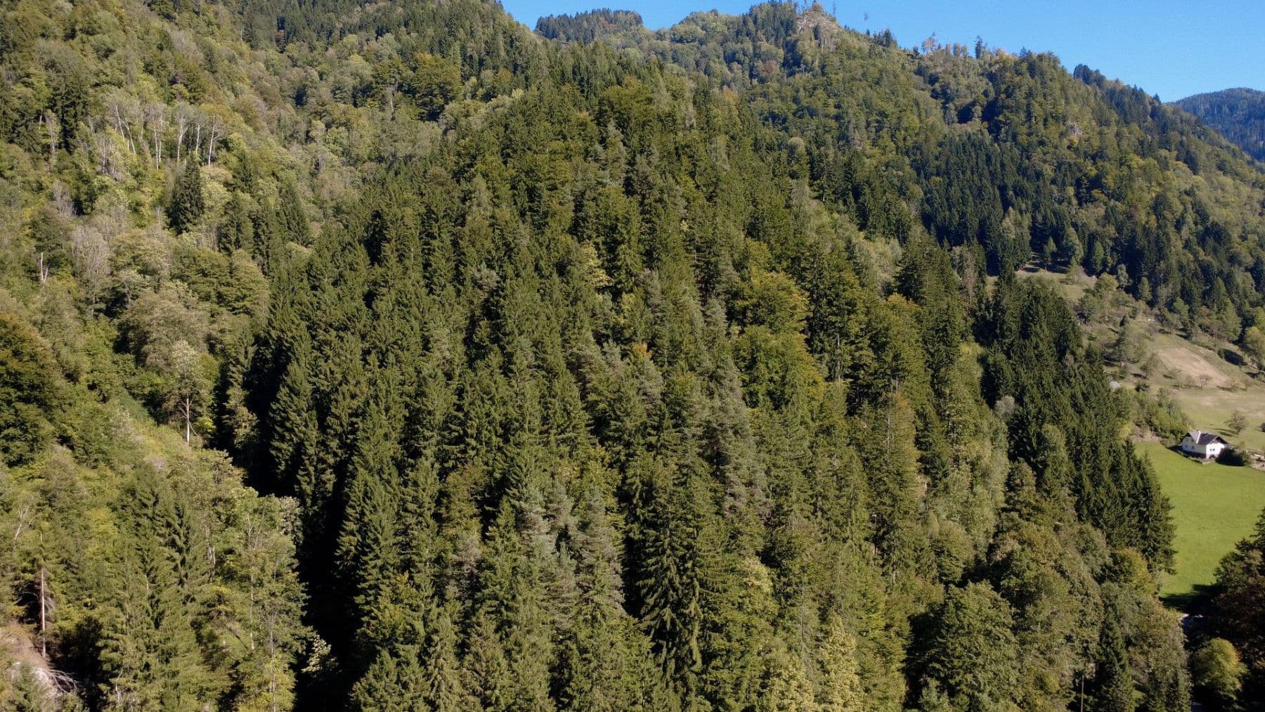 Predaj domu 120 m², pozemek 168.800 m², Prössinggraben 14, St. Gertraud, Korutánsko Predaj domu 120 m², pozemek 168.800 m², Prössinggraben 14, St. Gertraud, Korutánsko