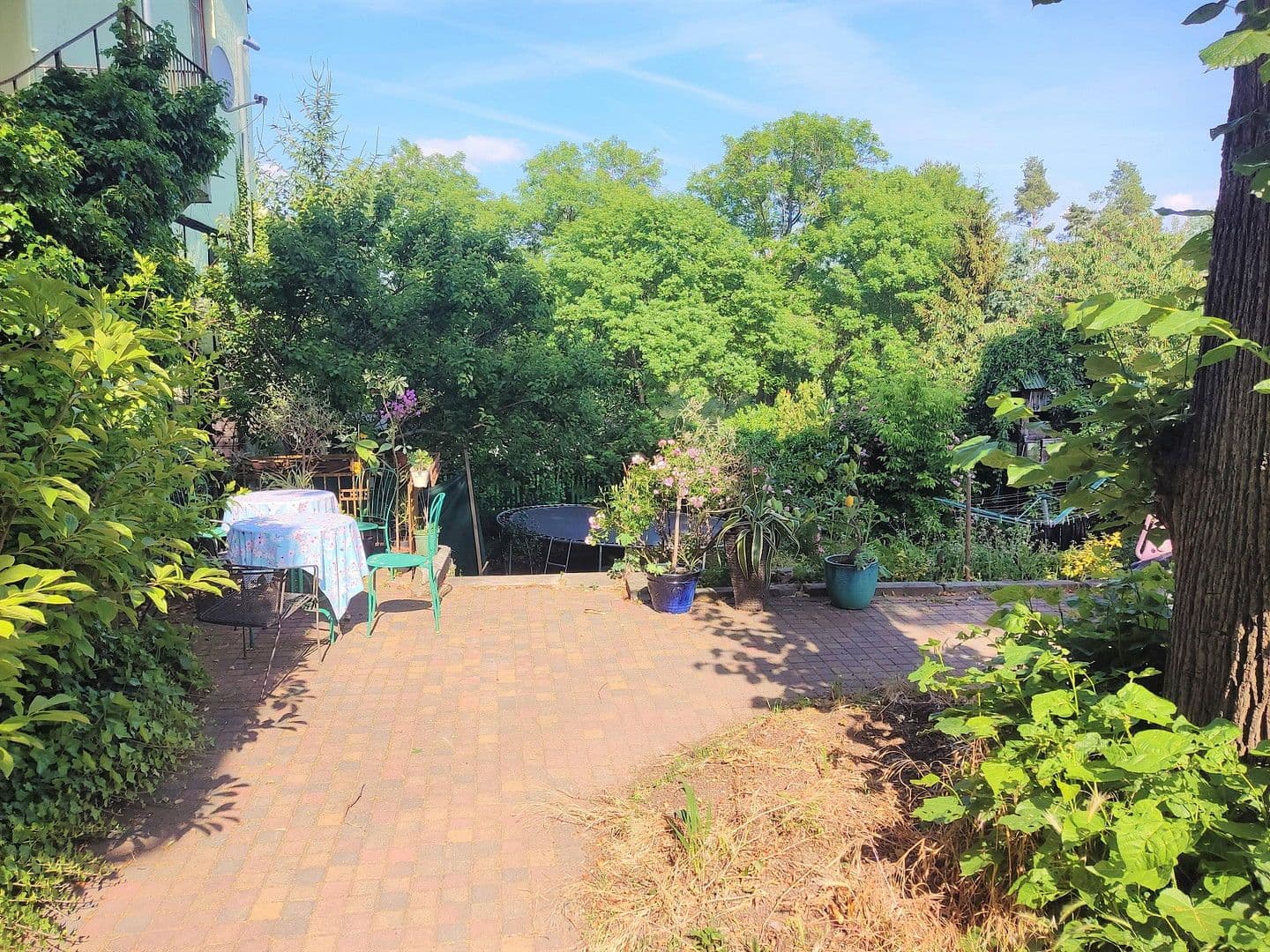 Predaj domu 513 m², pozemek 1.557 m², Elsteraue, Sasko-Anhaltsko Predaj domu 513 m², pozemek 1.557 m², Elsteraue, Sasko-Anhaltsko