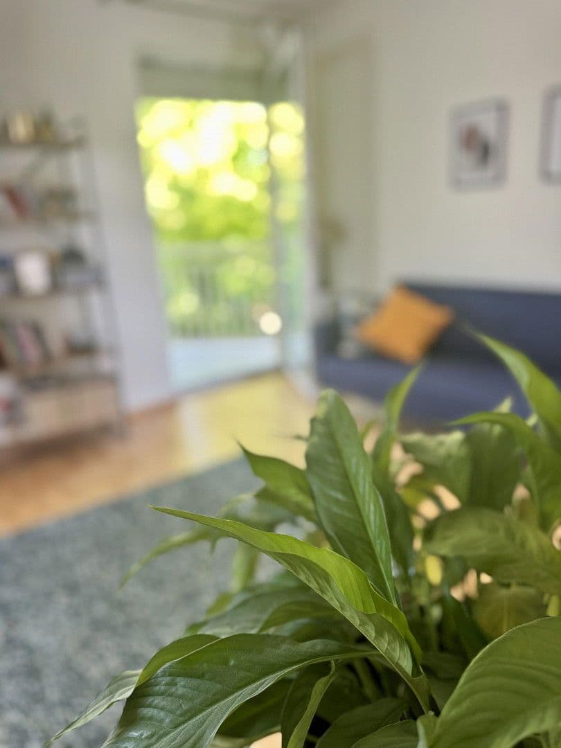 Predaj domu 231 m², pozemek 491 m², Fallmerayerweg 79, Wien, Viedeň Predaj domu 231 m², pozemek 491 m², Fallmerayerweg 79, Wien, Viedeň