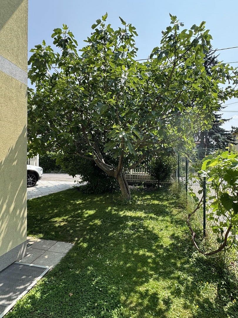 Predaj domu 231 m², pozemek 491 m², Fallmerayerweg 79, Wien, Viedeň Predaj domu 231 m², pozemek 491 m², Fallmerayerweg 79, Wien, Viedeň