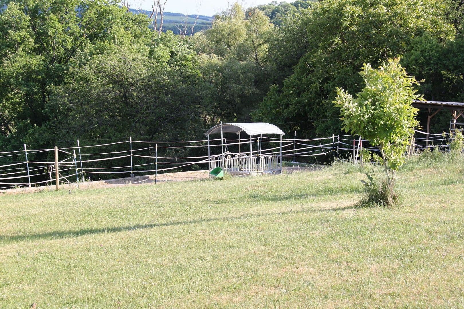 Predaj domu 250 m², pozemek 45.000 m², Brauweiler, Porýnie-Falcko Predaj domu 250 m², pozemek 45.000 m², Brauweiler, Porýnie-Falcko