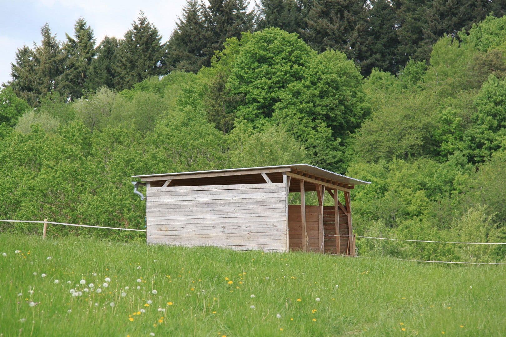 Predaj domu 250 m², pozemek 45.000 m², Brauweiler, Porýnie-Falcko Predaj domu 250 m², pozemek 45.000 m², Brauweiler, Porýnie-Falcko