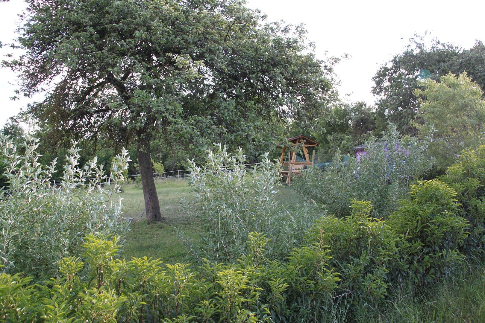 Predaj domu 250 m², pozemek 45.000 m², Brauweiler, Porýnie-Falcko Predaj domu 250 m², pozemek 45.000 m², Brauweiler, Porýnie-Falcko