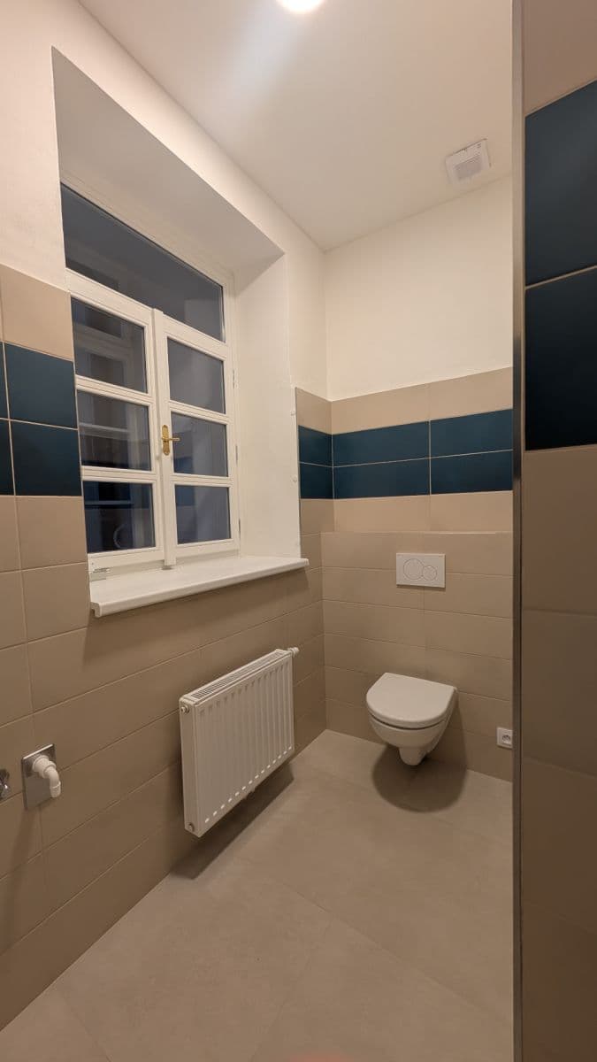 Prenájom bytu 1-izbový 68 m², Vodičkova, Praha, Praha Prenájom bytu 1-izbový 68 m², Vodičkova, Praha, Praha