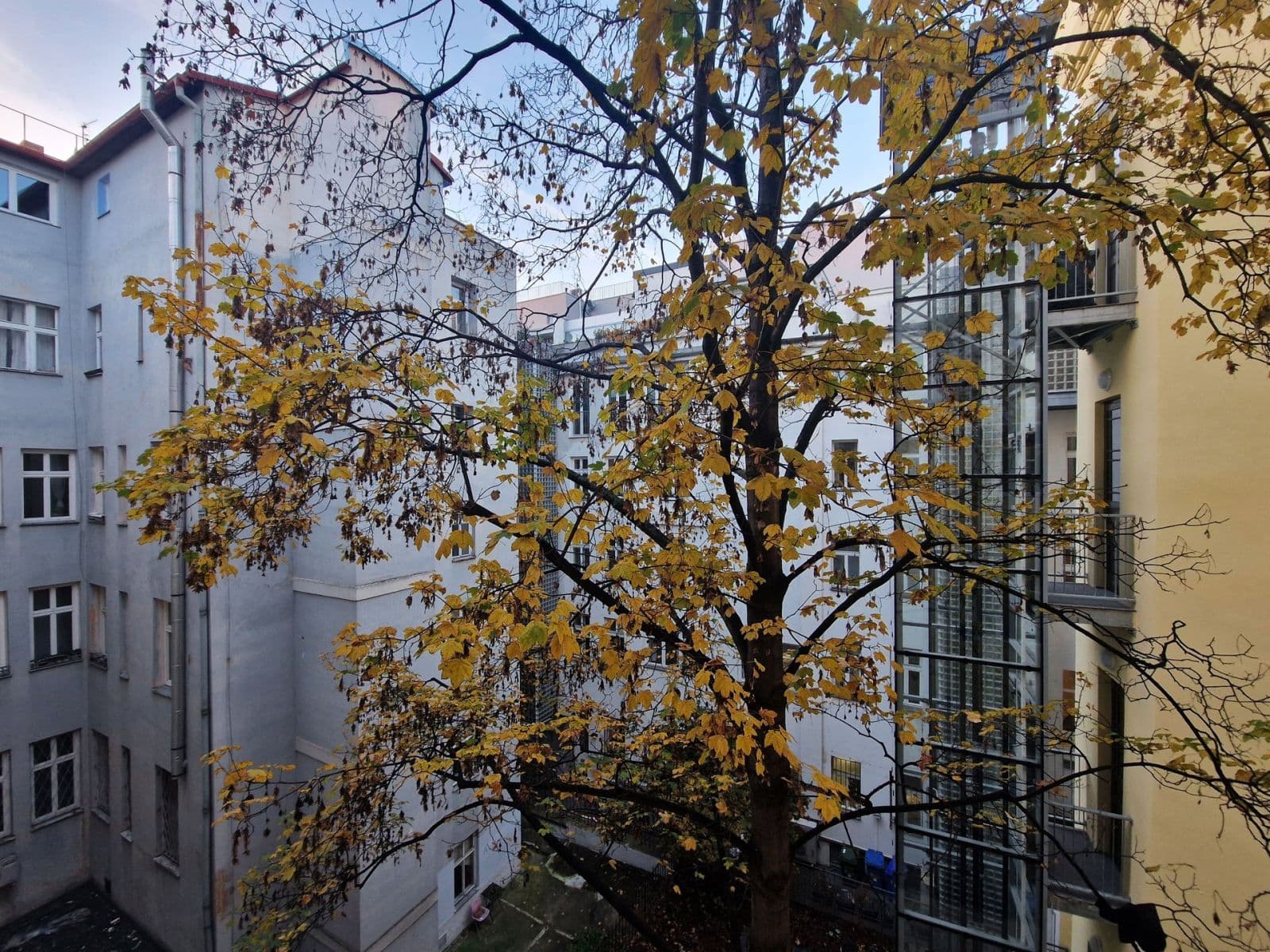 Prenájom bytu 3-izbový 78 m², Londýnská, Praha, Praha Prenájom bytu 3-izbový 78 m², Londýnská, Praha, Praha