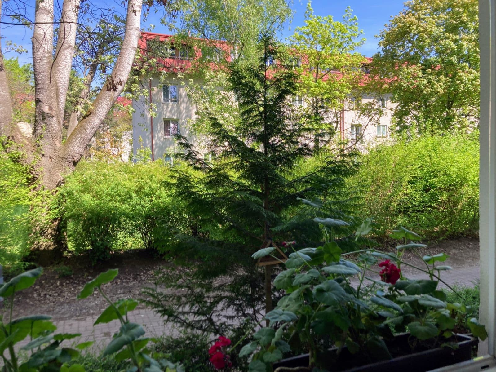 Prenájom bytu 3-izbový 63 m², Vršní, Praha, Praha Prenájom bytu 3-izbový 63 m², Vršní, Praha, Praha