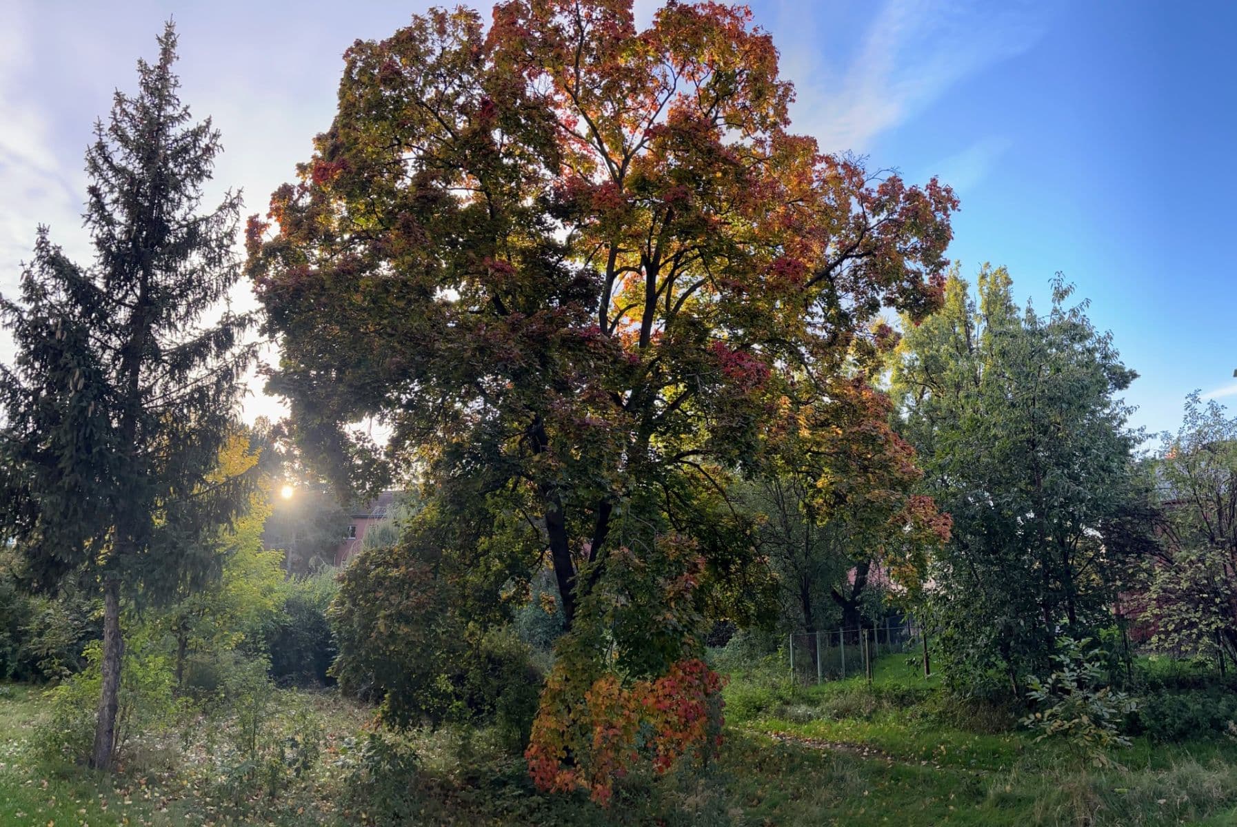 Prenájom bytu 3-izbový 63 m², Vršní, Praha, Praha Prenájom bytu 3-izbový 63 m², Vršní, Praha, Praha