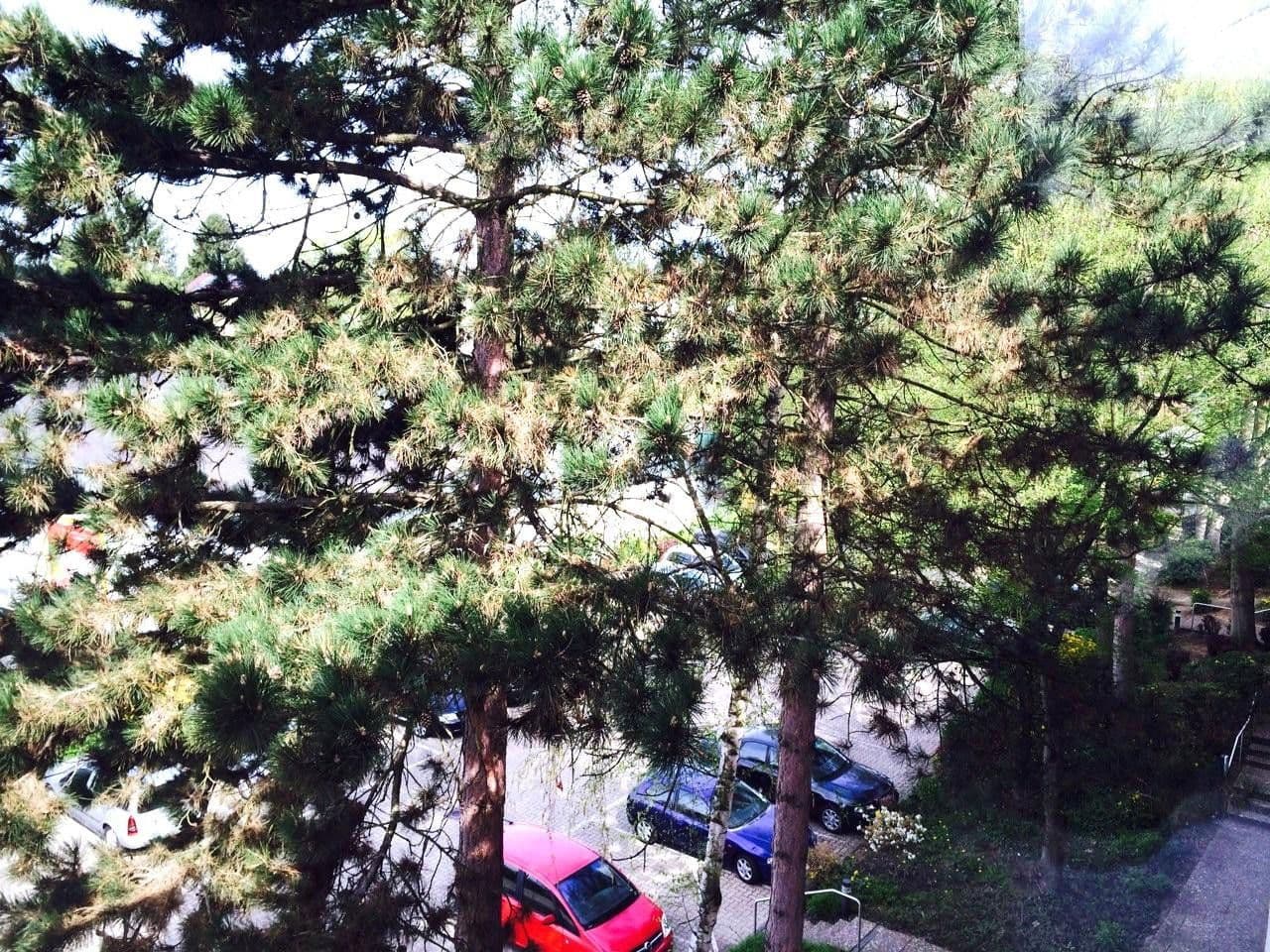 Predaj bytu 4-izbový 94 m², Frank-Wedekind-Straße 00, Wiesbaden, Hesensko Predaj bytu 4-izbový 94 m², Frank-Wedekind-Straße 00, Wiesbaden, Hesensko