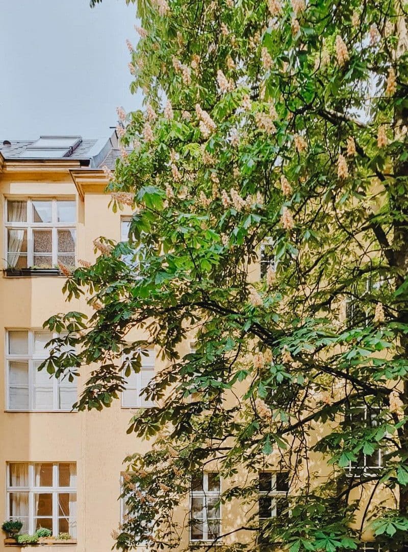 Predaj bytu 2-izbový 70 m², Erdmannstraße, Berlin, Berlín Predaj bytu 2-izbový 70 m², Erdmannstraße, Berlin, Berlín