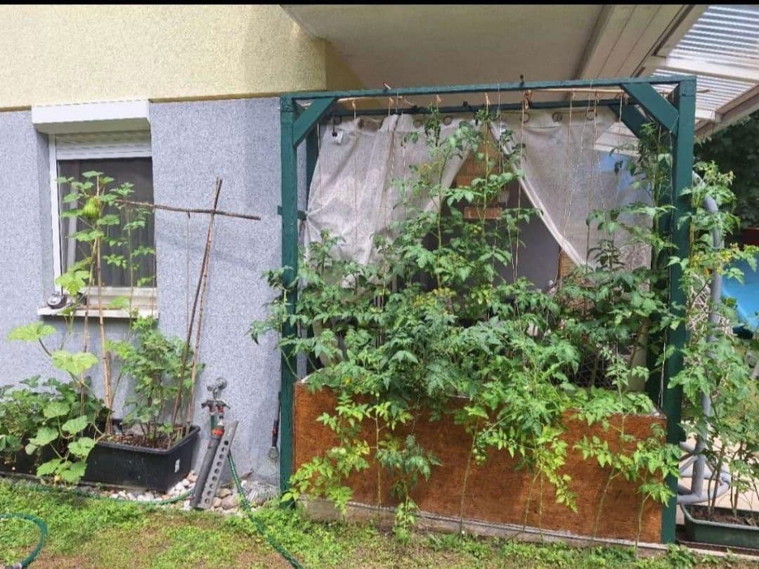 Prenájom bytu 3-izbový 78 m², Helenenstrasse, Baden bei Wien, Dolné Rakúsko Prenájom bytu 3-izbový 78 m², Helenenstrasse, Baden bei Wien, Dolné Rakúsko