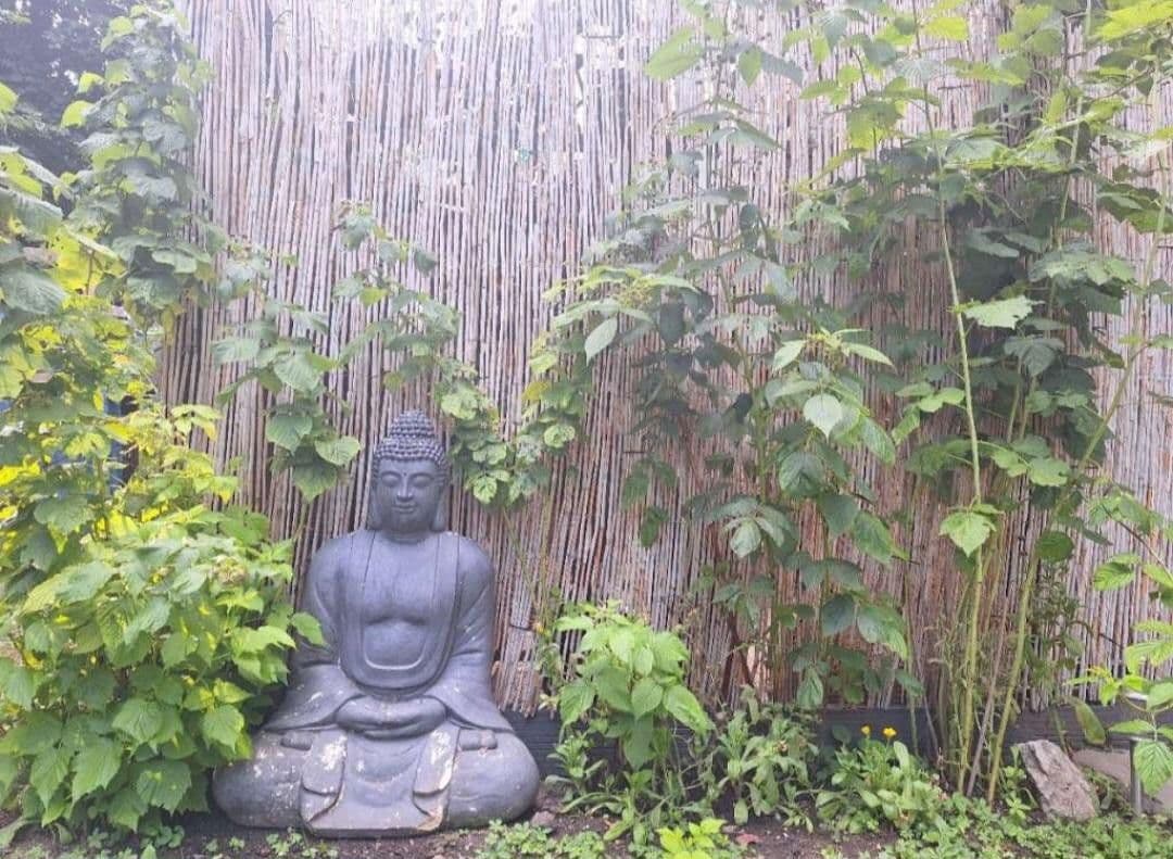 Prenájom bytu 3-izbový 78 m², Helenenstrasse, Baden bei Wien, Dolné Rakúsko Prenájom bytu 3-izbový 78 m², Helenenstrasse, Baden bei Wien, Dolné Rakúsko