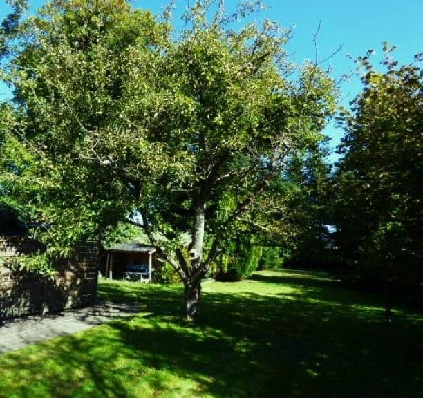 Predaj domu 158 m², pozemek 1.350 m², Rechtsupweg, Dolné Sasko Predaj domu 158 m², pozemek 1.350 m², Rechtsupweg, Dolné Sasko