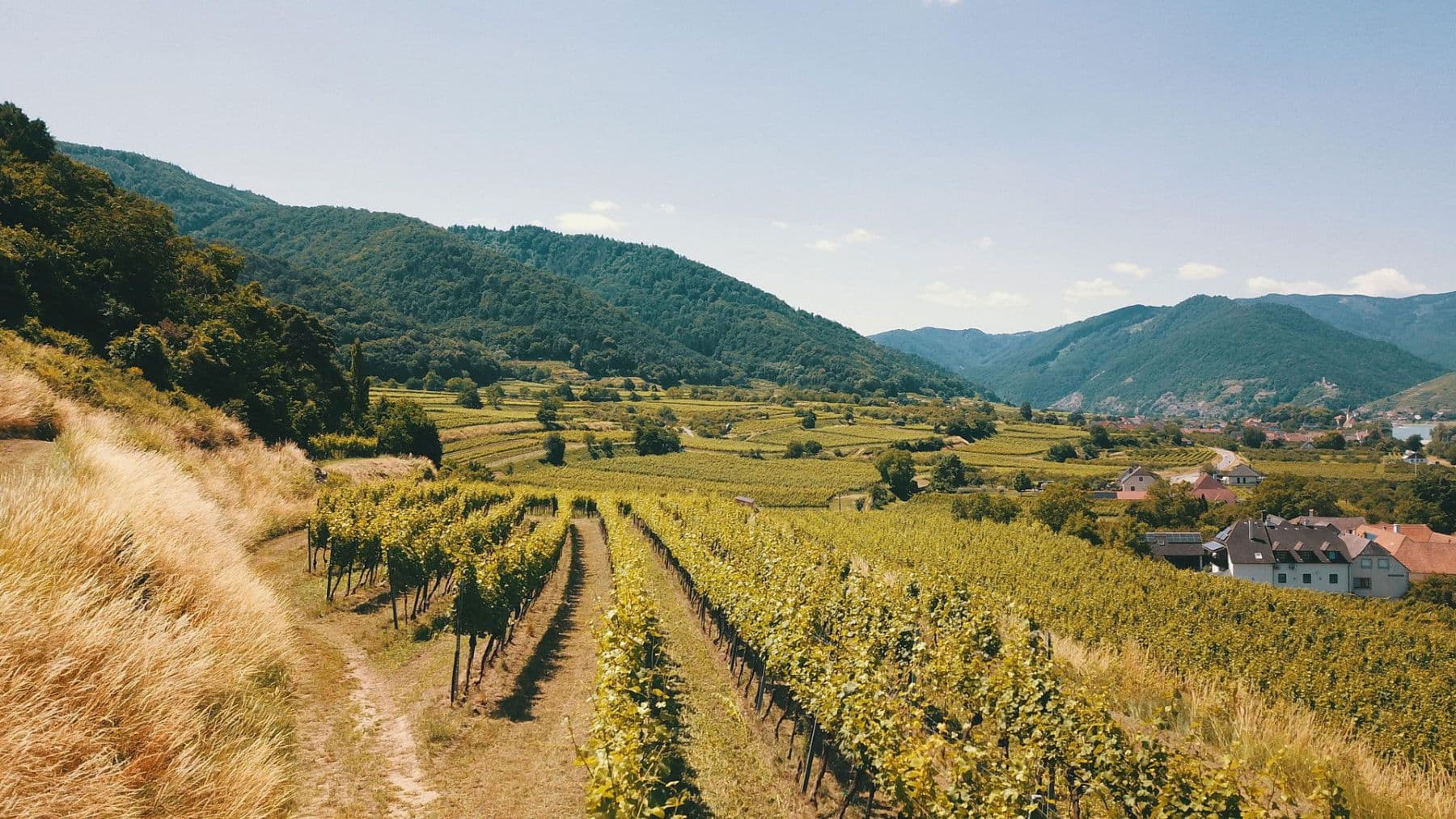 Predaj pozemku 3.596 m², Mitterarnsdorf, Dolné Rakúsko Predaj pozemku 3.596 m², Mitterarnsdorf, Dolné Rakúsko