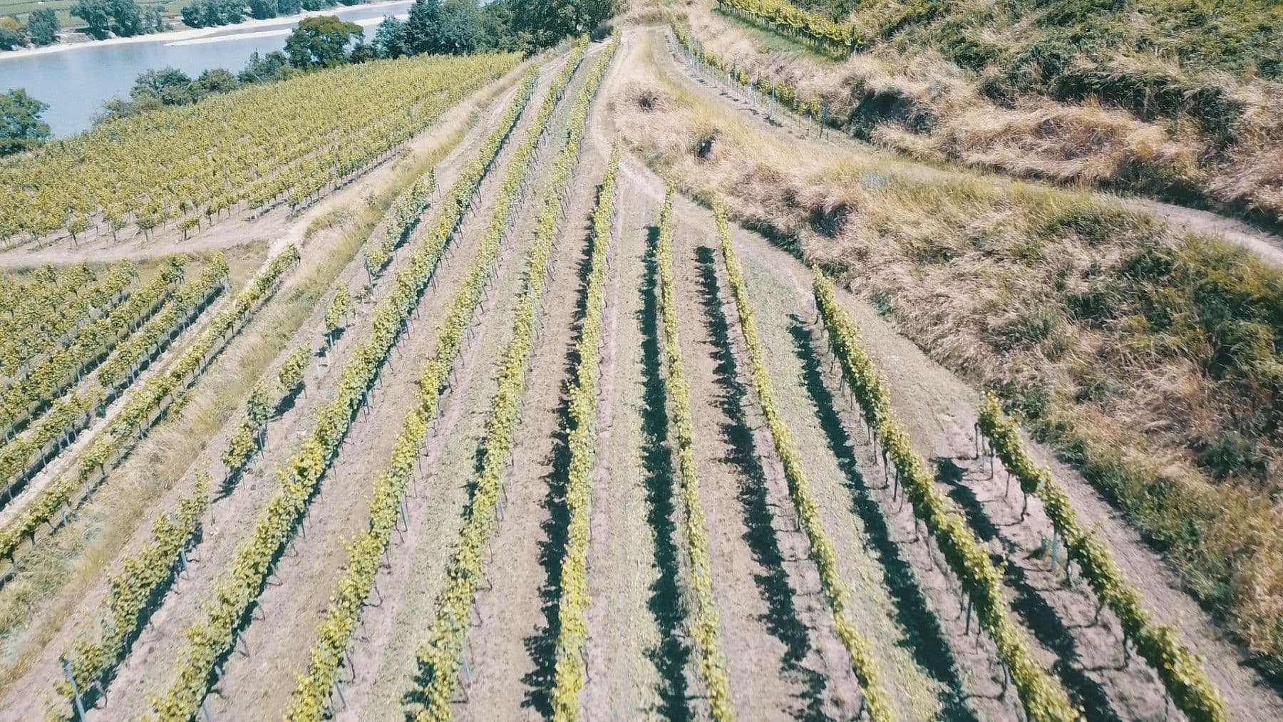 Predaj pozemku 3.596 m², Mitterarnsdorf, Dolné Rakúsko Predaj pozemku 3.596 m², Mitterarnsdorf, Dolné Rakúsko