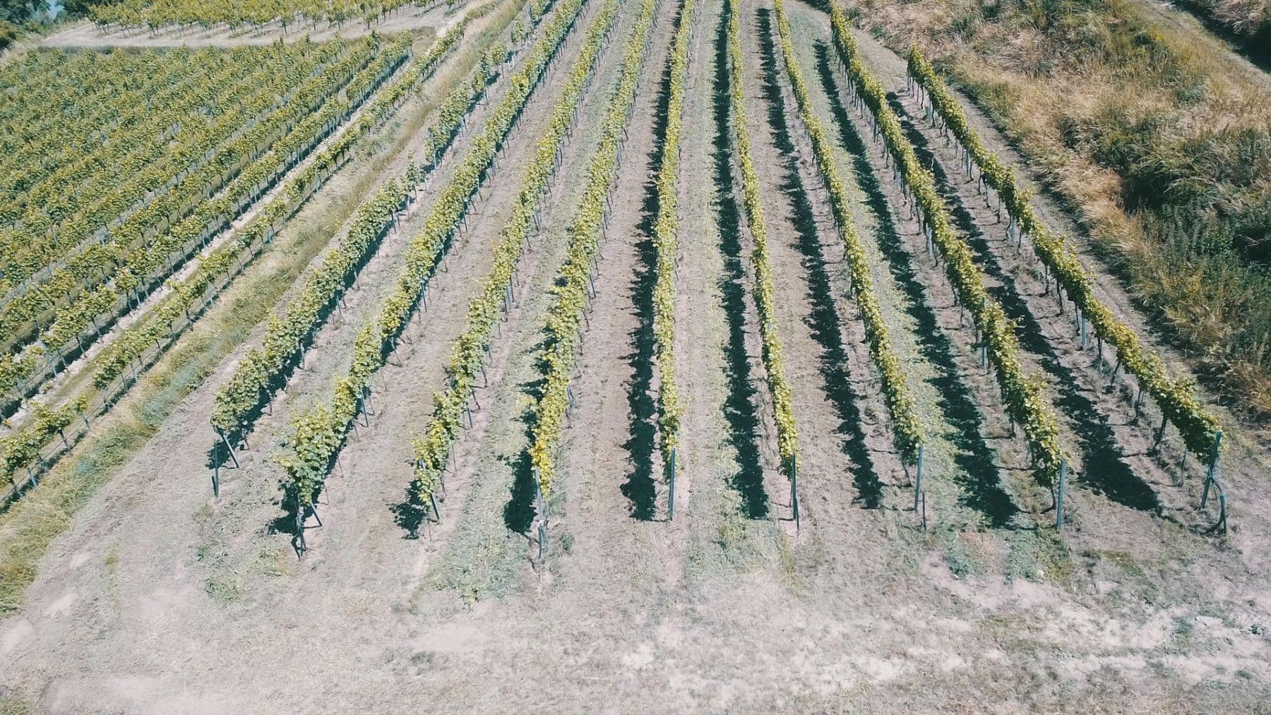 Predaj pozemku 3.596 m², Mitterarnsdorf, Dolné Rakúsko Predaj pozemku 3.596 m², Mitterarnsdorf, Dolné Rakúsko