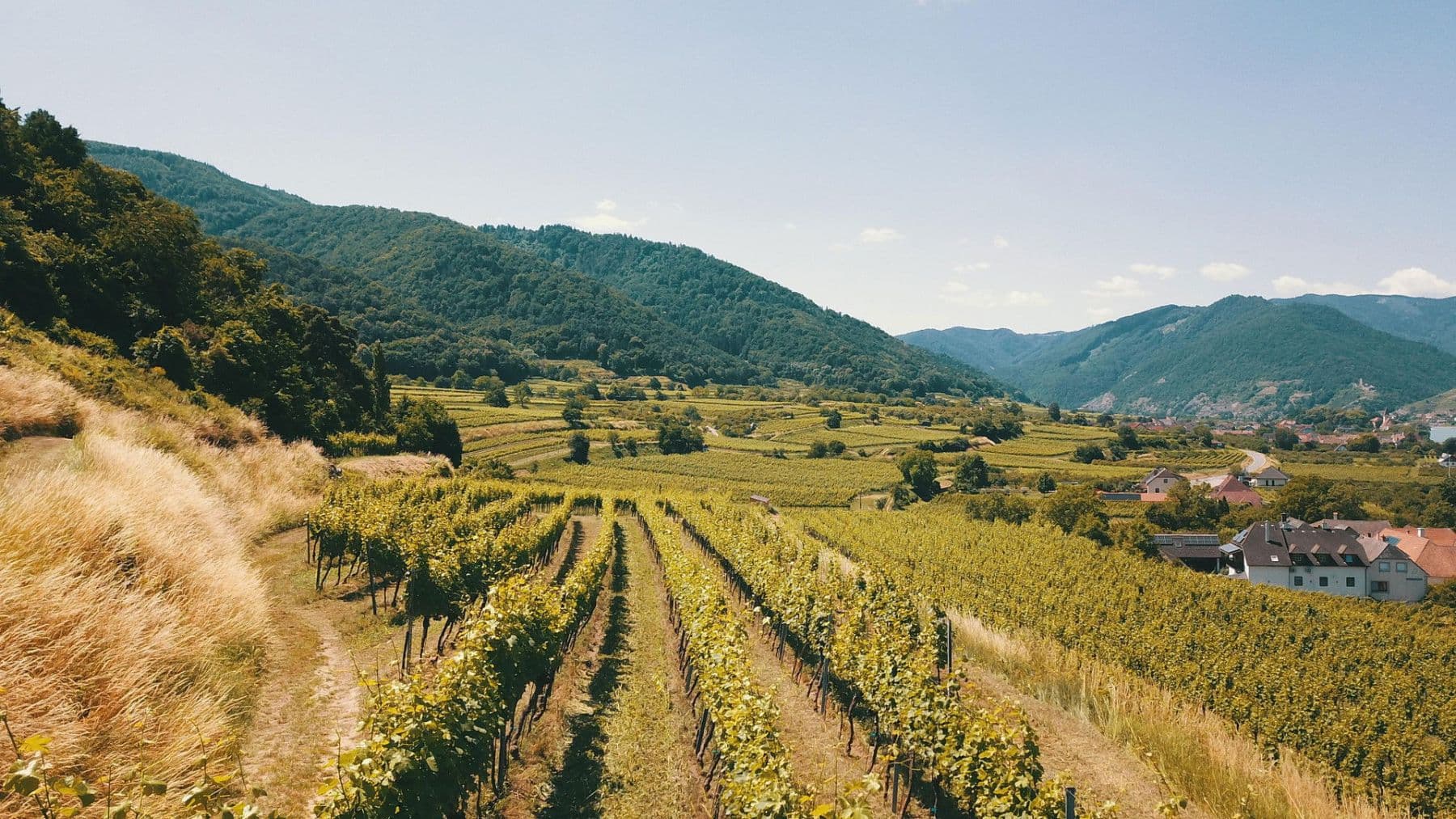 Predaj pozemku 3.596 m², Mitterarnsdorf, Dolné Rakúsko Predaj pozemku 3.596 m², Mitterarnsdorf, Dolné Rakúsko