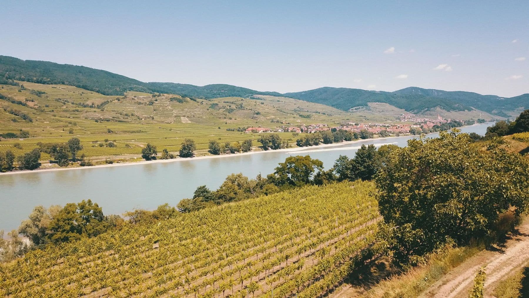 Predaj pozemku 3.596 m², Mitterarnsdorf, Dolné Rakúsko Predaj pozemku 3.596 m², Mitterarnsdorf, Dolné Rakúsko