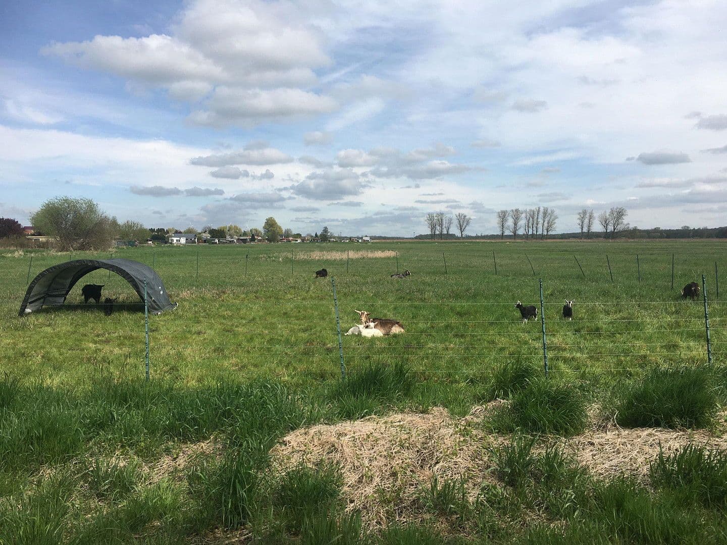 Predaj domu 489 m², pozemek 8.135 m², Bützow, Meklenbursko-Predpomoransko Predaj domu 489 m², pozemek 8.135 m², Bützow, Meklenbursko-Predpomoransko