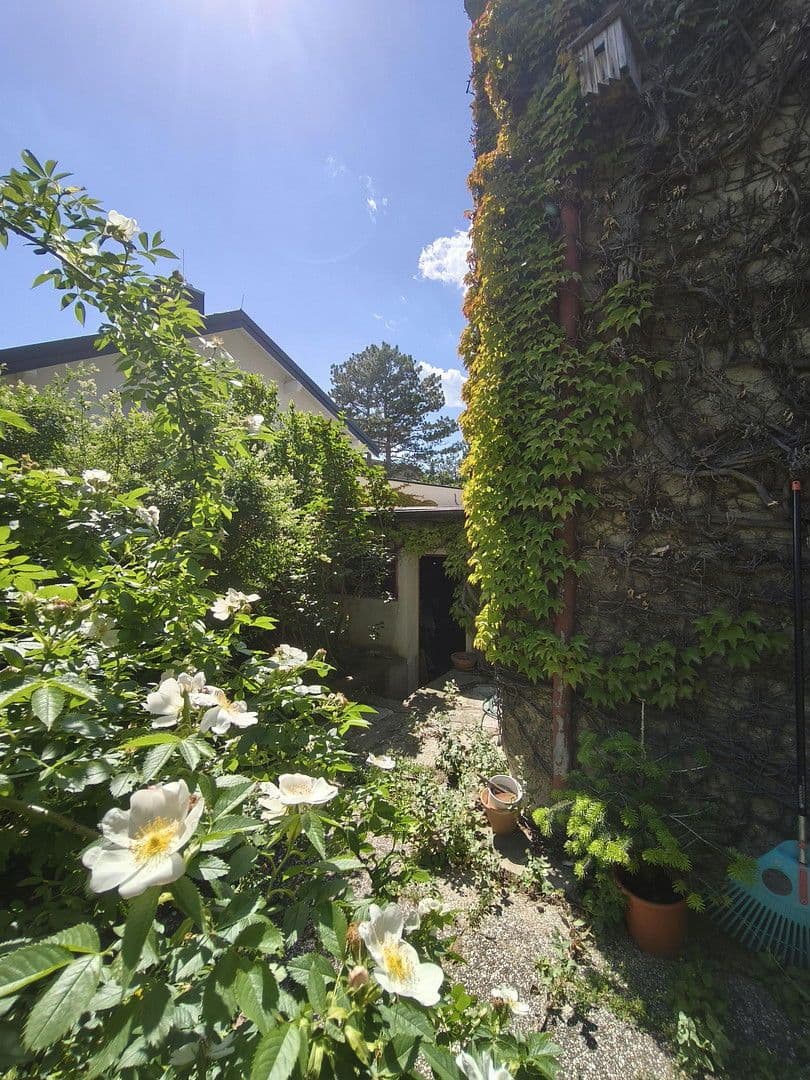 Predaj domu 150 m², pozemek 520 m², Heudörfelgasse 5, Wien, Viedeň Predaj domu 150 m², pozemek 520 m², Heudörfelgasse 5, Wien, Viedeň