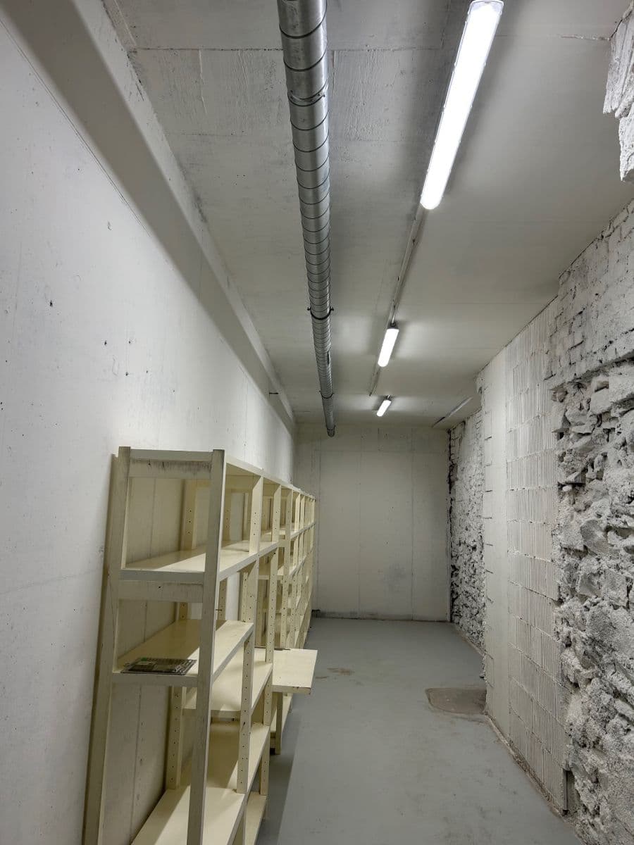 Prenájom nebytového priestoru 24 m², Lindleyova, Praha, Praha Prenájom nebytového priestoru 24 m², Lindleyova, Praha, Praha