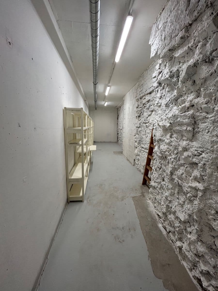 Prenájom nebytového priestoru 24 m², Lindleyova, Praha, Praha Prenájom nebytového priestoru 24 m², Lindleyova, Praha, Praha