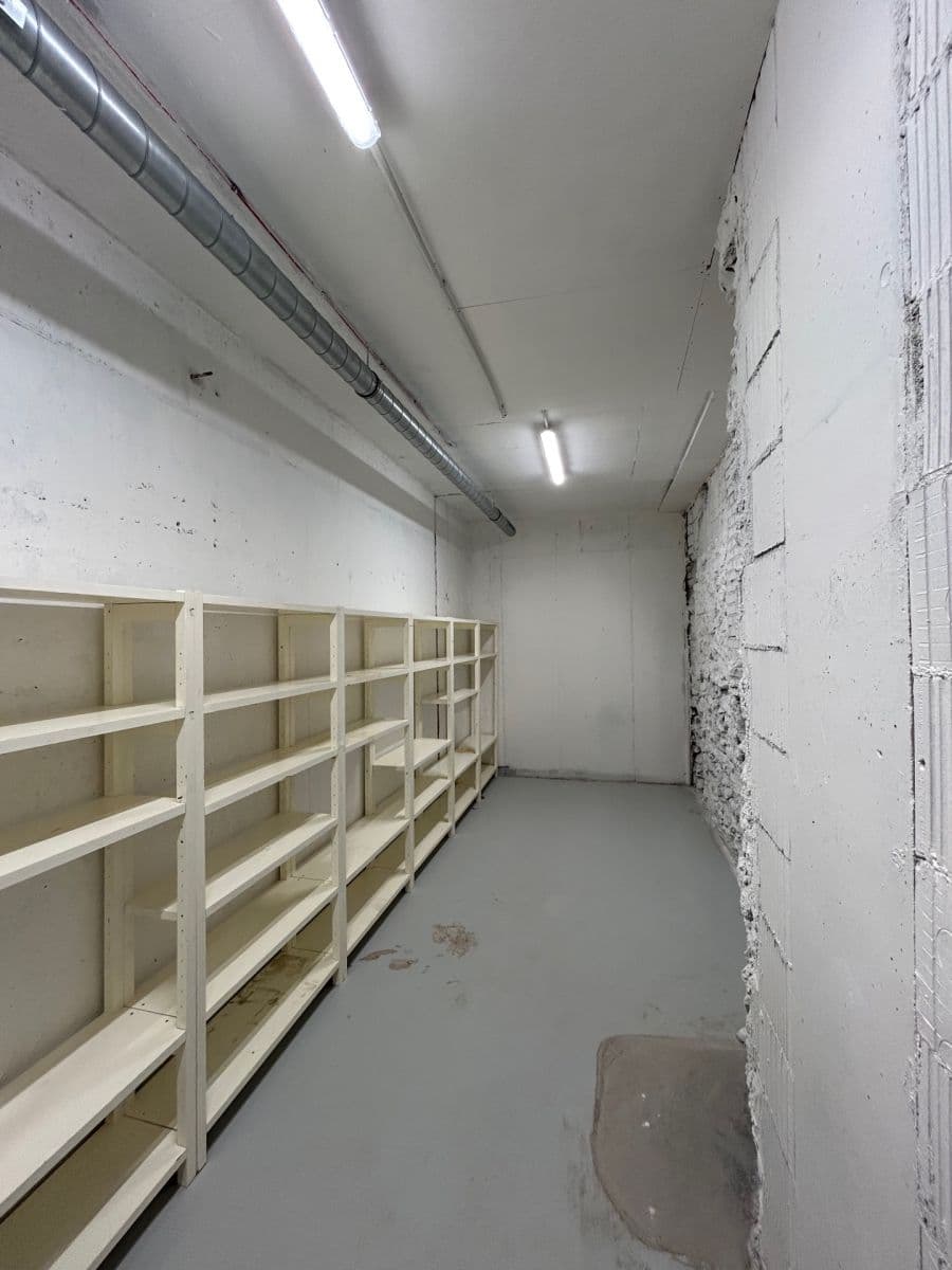 Prenájom nebytového priestoru 24 m², Lindleyova, Praha, Praha Prenájom nebytového priestoru 24 m², Lindleyova, Praha, Praha