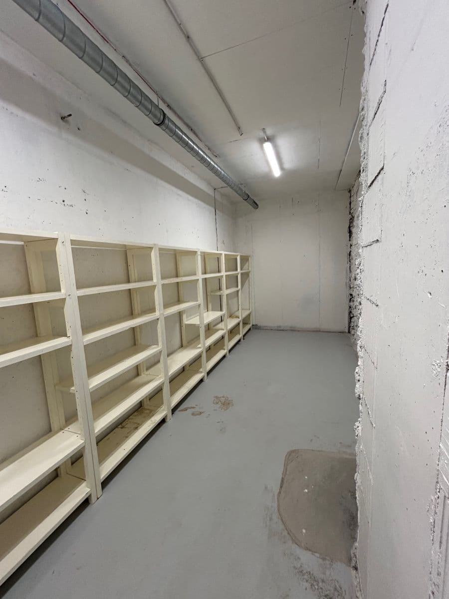 Prenájom nebytového priestoru 24 m², Lindleyova, Praha, Praha Prenájom nebytového priestoru 24 m², Lindleyova, Praha, Praha