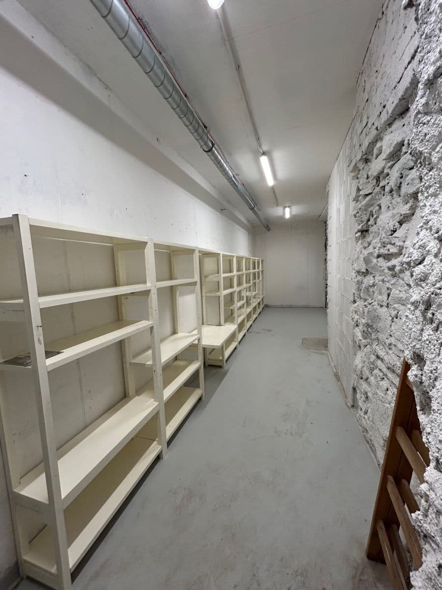 Prenájom nebytového priestoru 24 m², Lindleyova, Praha, Praha Prenájom nebytového priestoru 24 m², Lindleyova, Praha, Praha