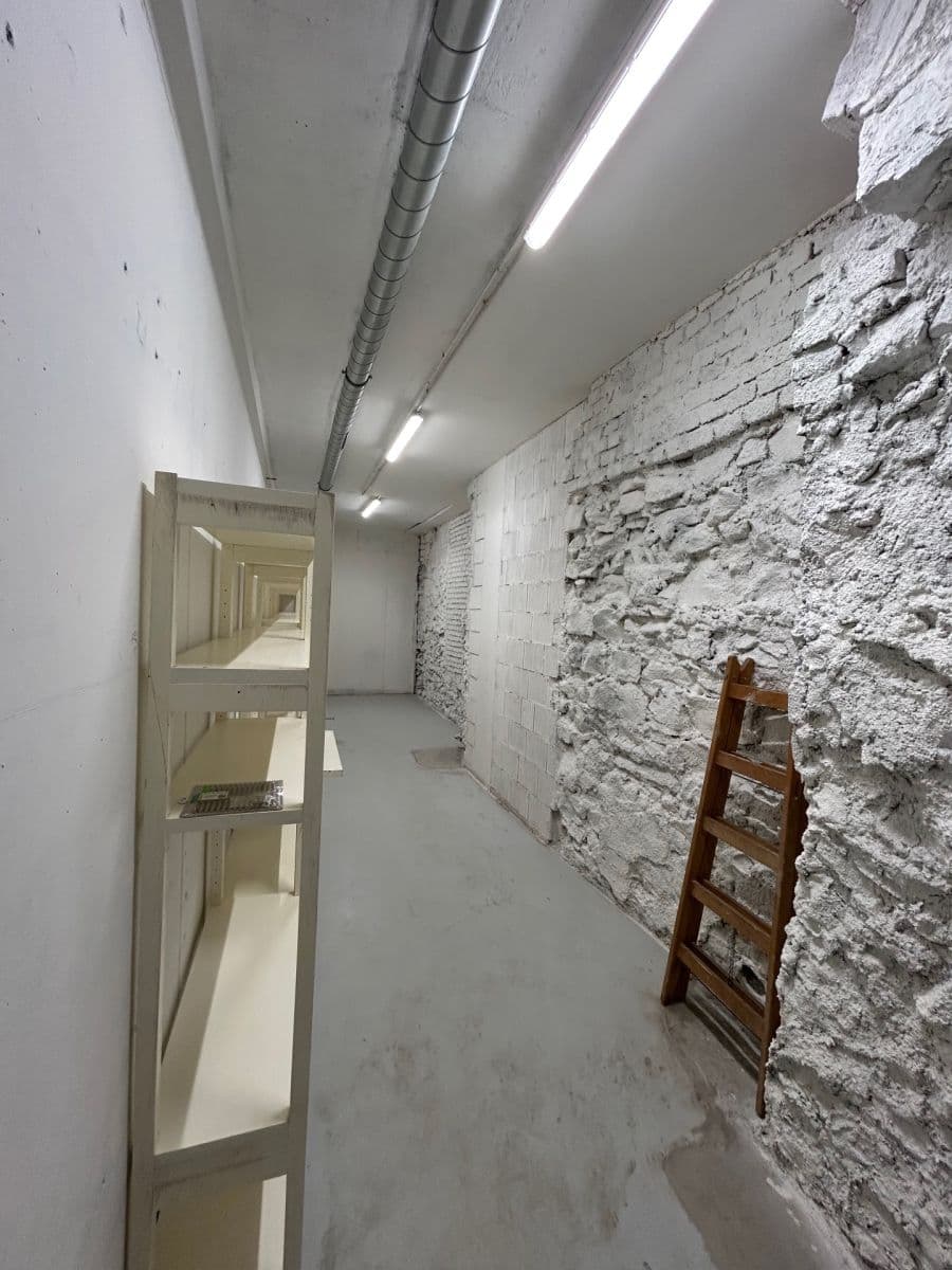 Prenájom nebytového priestoru 24 m², Lindleyova, Praha, Praha Prenájom nebytového priestoru 24 m², Lindleyova, Praha, Praha