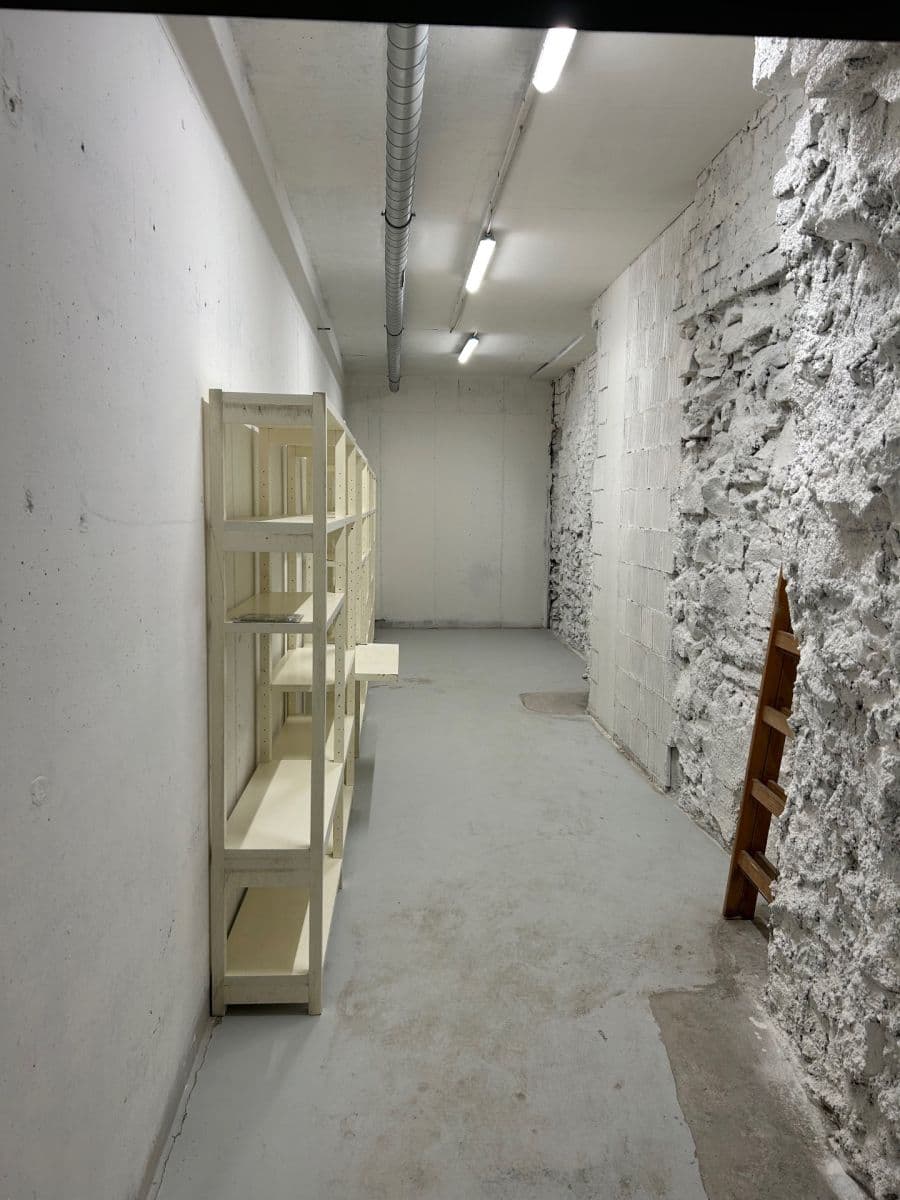 Prenájom nebytového priestoru 24 m², Lindleyova, Praha, Praha Prenájom nebytového priestoru 24 m², Lindleyova, Praha, Praha