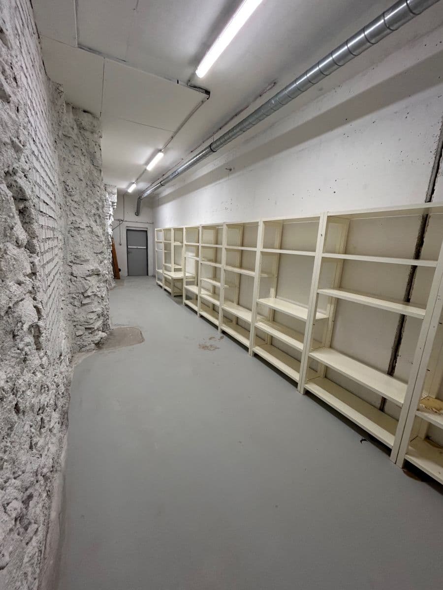 Prenájom nebytového priestoru 24 m², Lindleyova, Praha, Praha Prenájom nebytového priestoru 24 m², Lindleyova, Praha, Praha