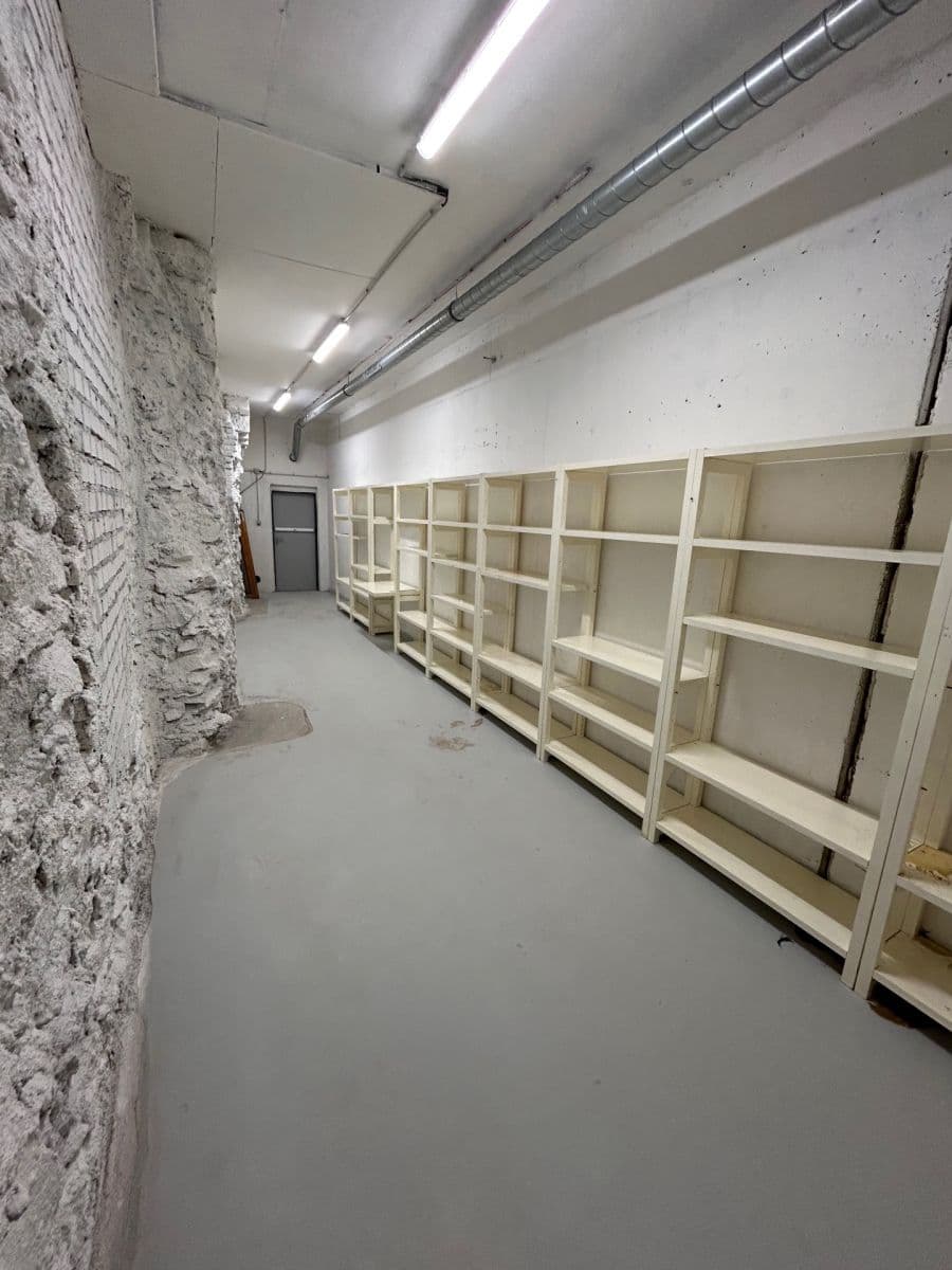 Prenájom nebytového priestoru 24 m², Lindleyova, Praha, Praha Prenájom nebytového priestoru 24 m², Lindleyova, Praha, Praha