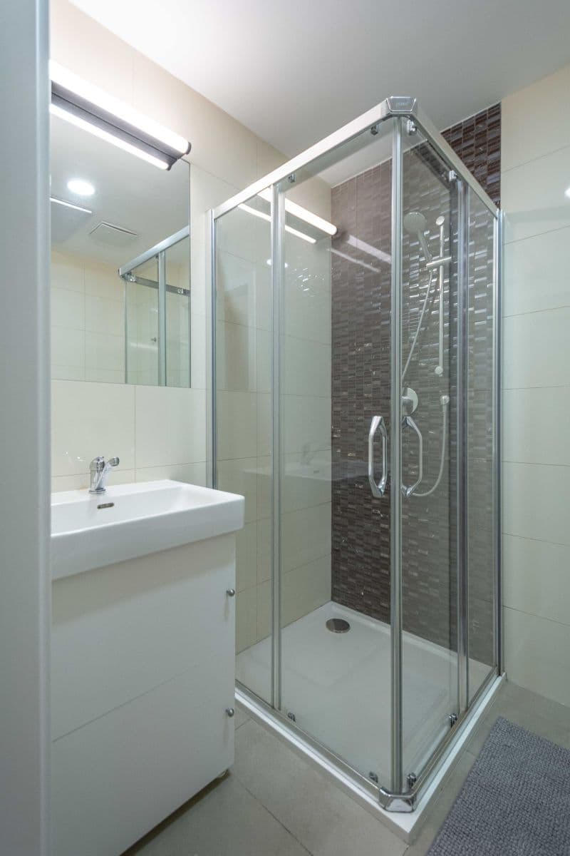 Prenájom bytu 19 m², Čelakovského sady, Praha, Praha Prenájom bytu 19 m², Čelakovského sady, Praha, Praha