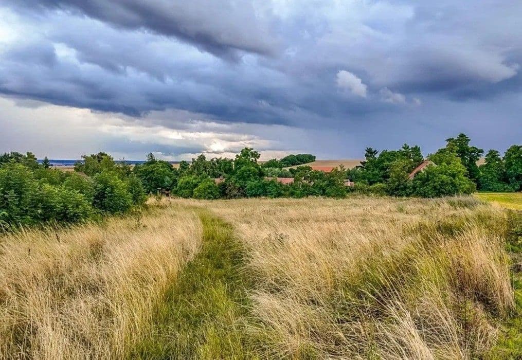 Predaj pozemku 2.077 m², Děčany, Ústecký kraj Predaj pozemku 2.077 m², Děčany, Ústecký kraj